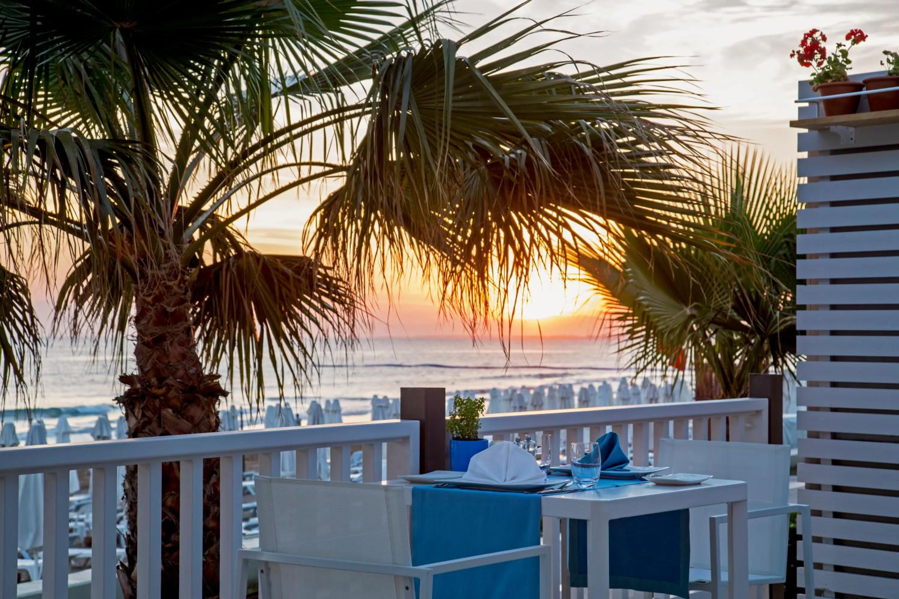 Restaurant/places to eat in Acanthus Cennet Barut Collection - Ultra All Inclusive