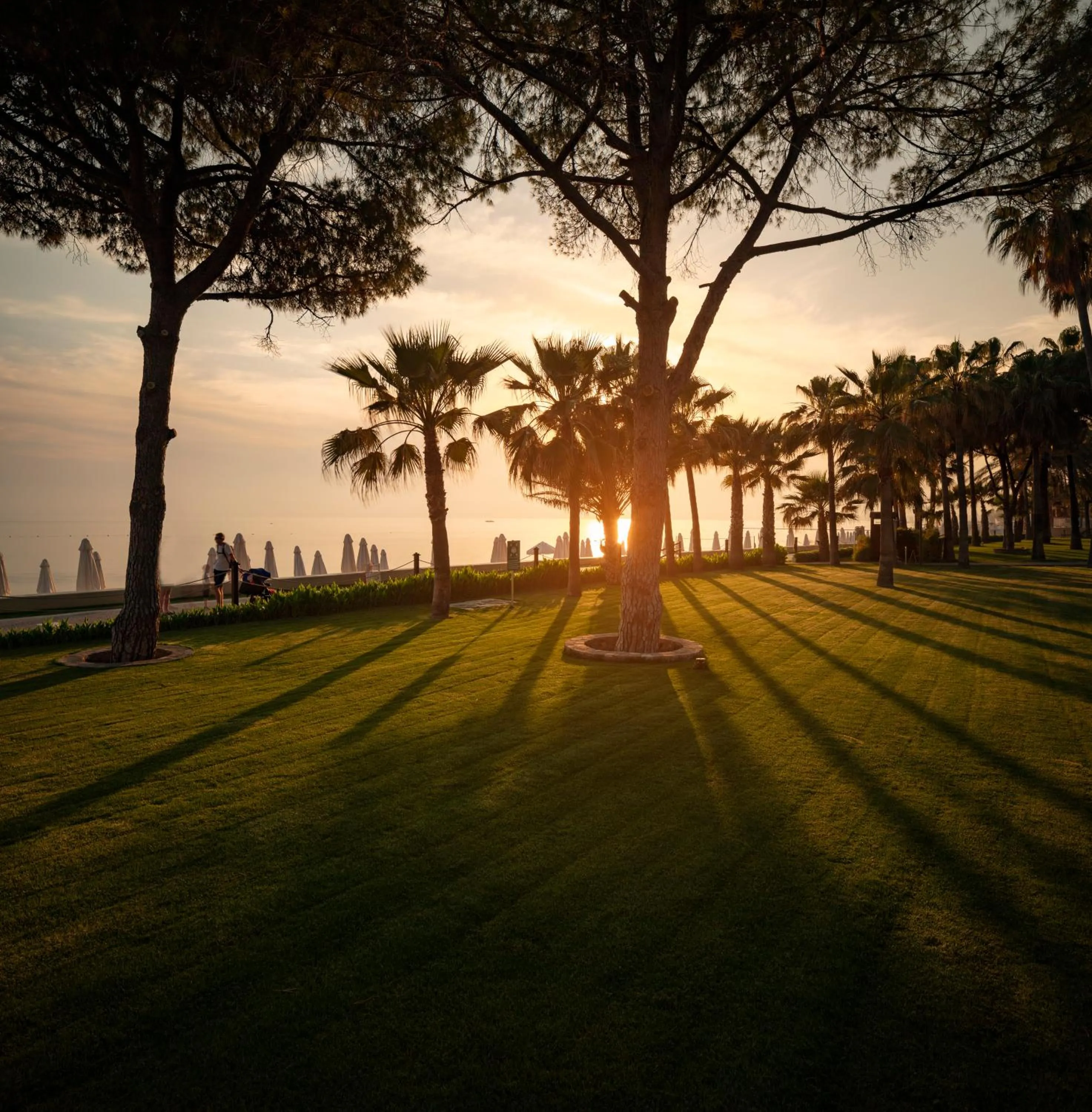 Garden in Acanthus Cennet Barut Collection - Ultra All Inclusive