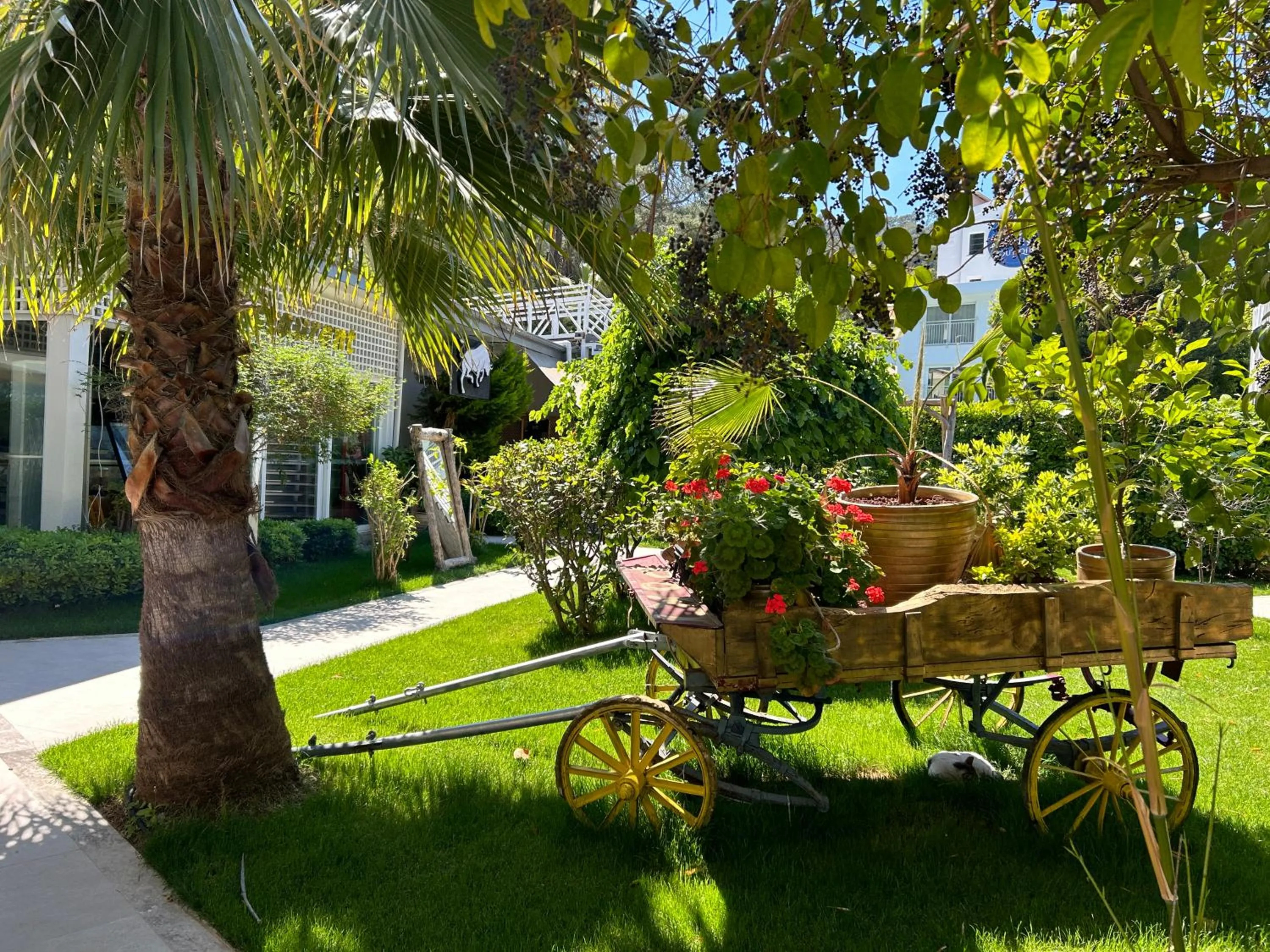 Garden in Marina Boutique Hotel