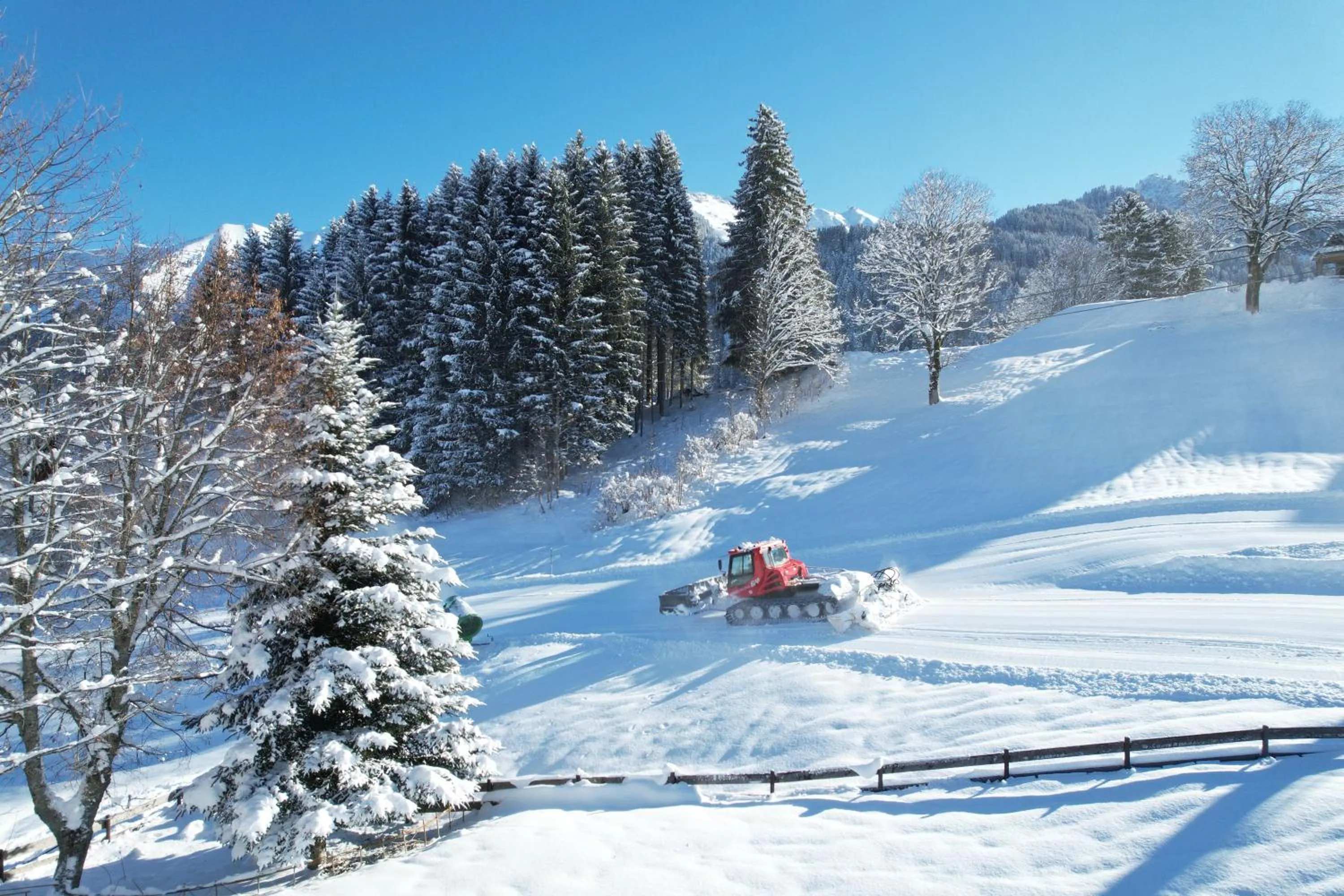 Hotel Gemma- Adults only