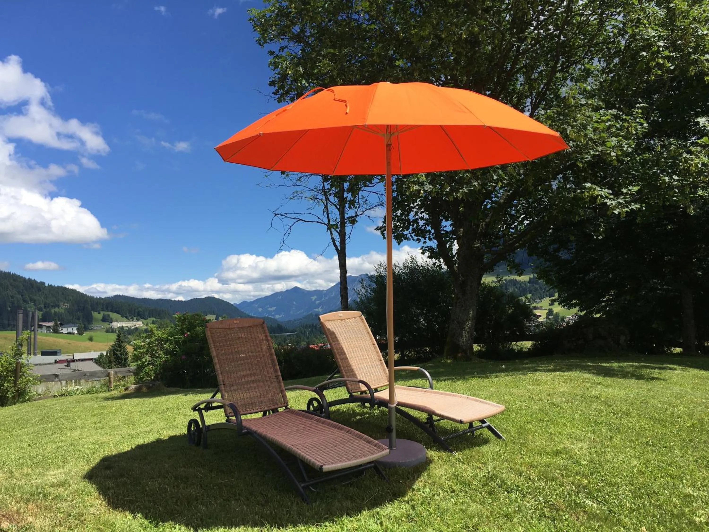 Garden view in Hotel Gemma- Adults only