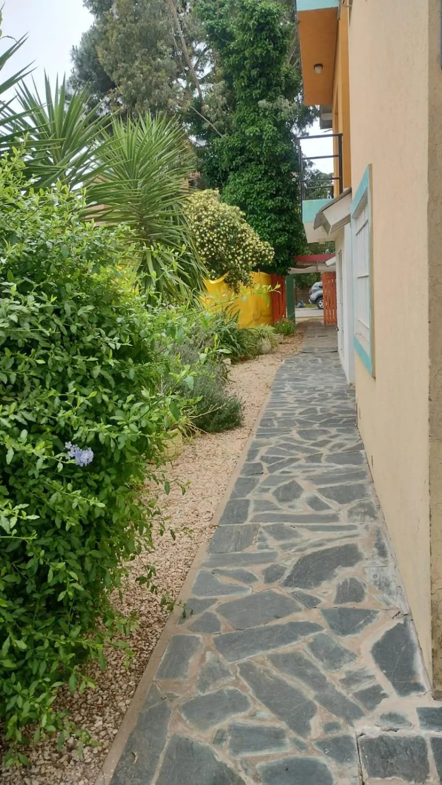 Property building in Pato Pinamar -Familiar-No se aceptan grupos de jóvenes
