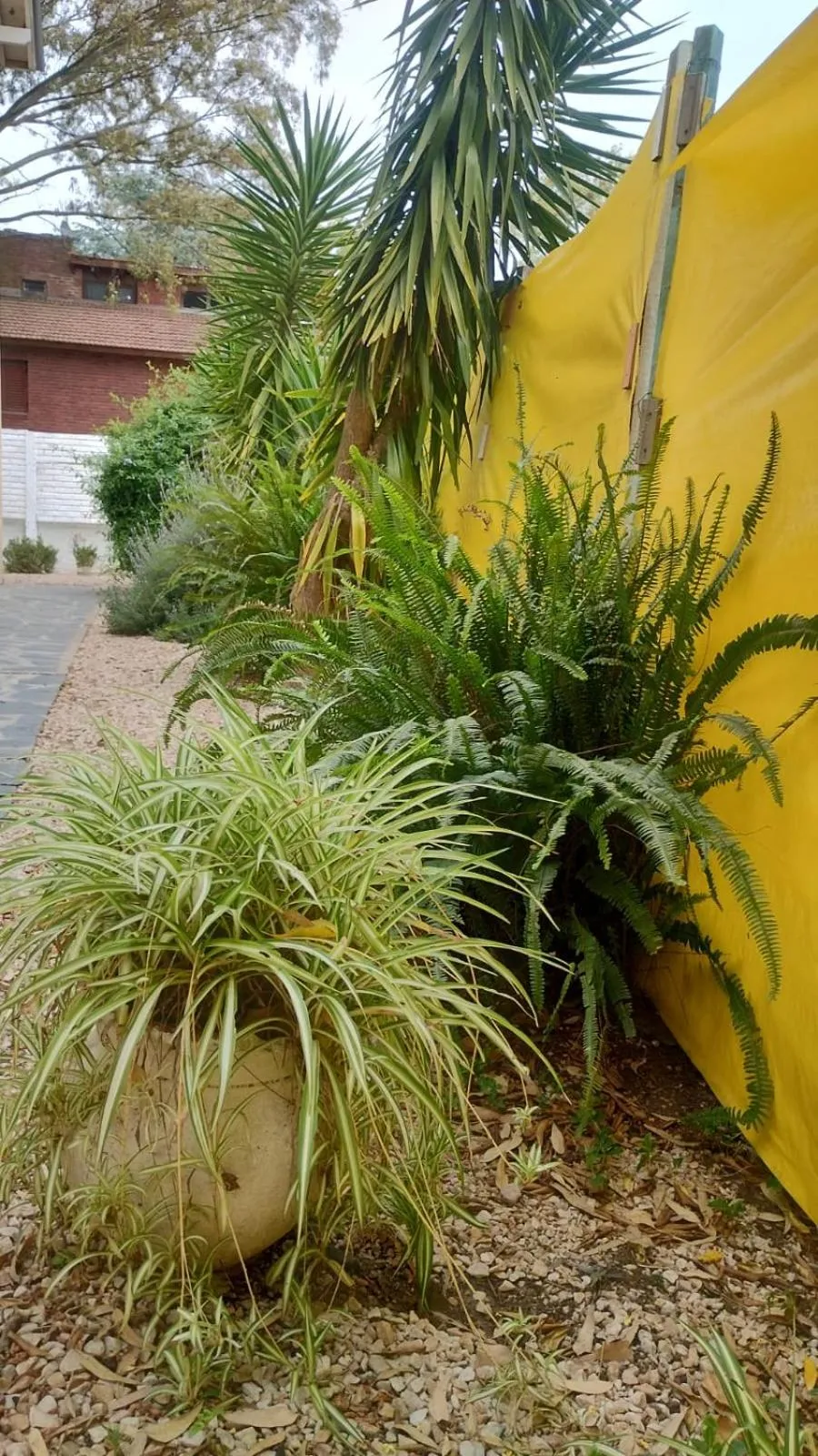 Garden in Pato Pinamar -Familiar-No se aceptan grupos de jóvenes