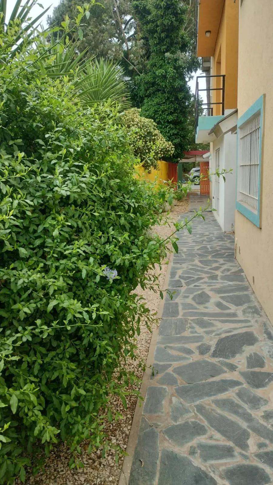 Spring in Pato Pinamar -Familiar-No se aceptan grupos de jóvenes