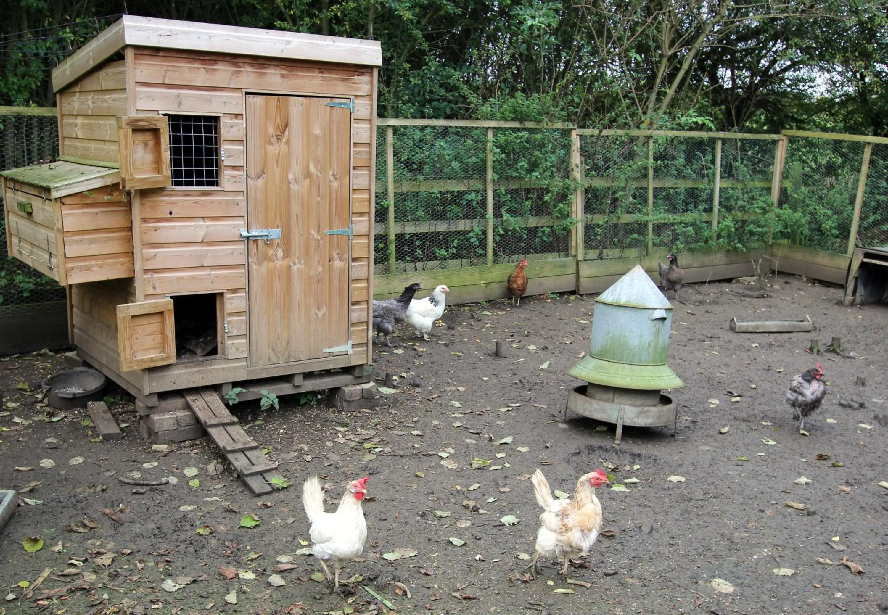 Larkrise Cottage Bed And Breakfast