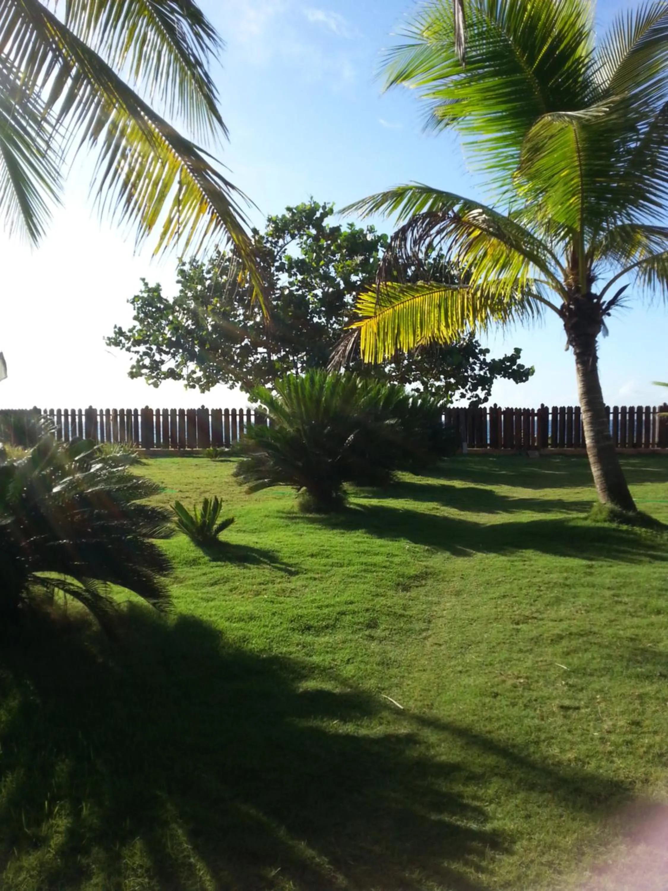 Garden view in La Cueva del Che