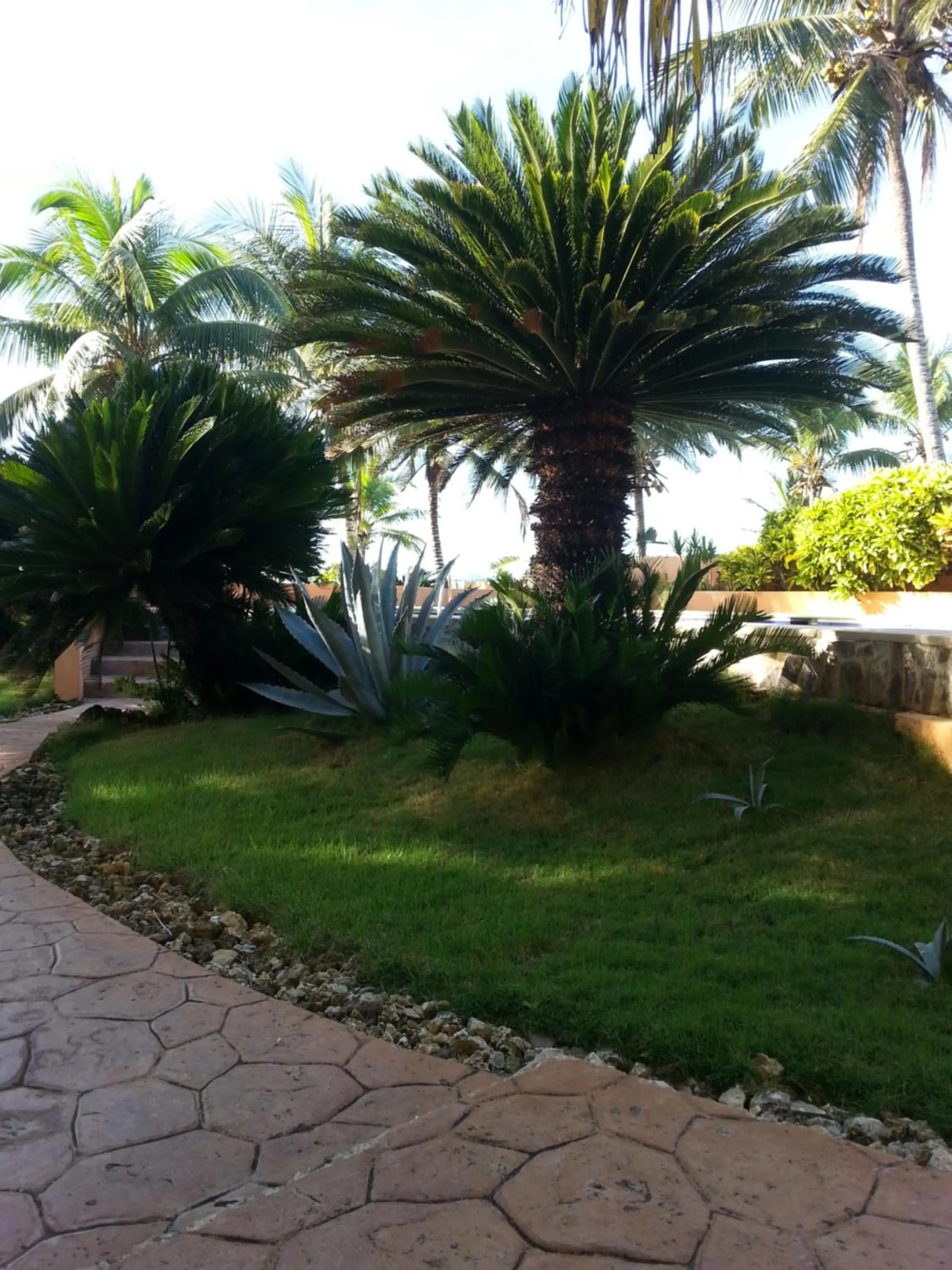 Garden view in La Cueva del Che