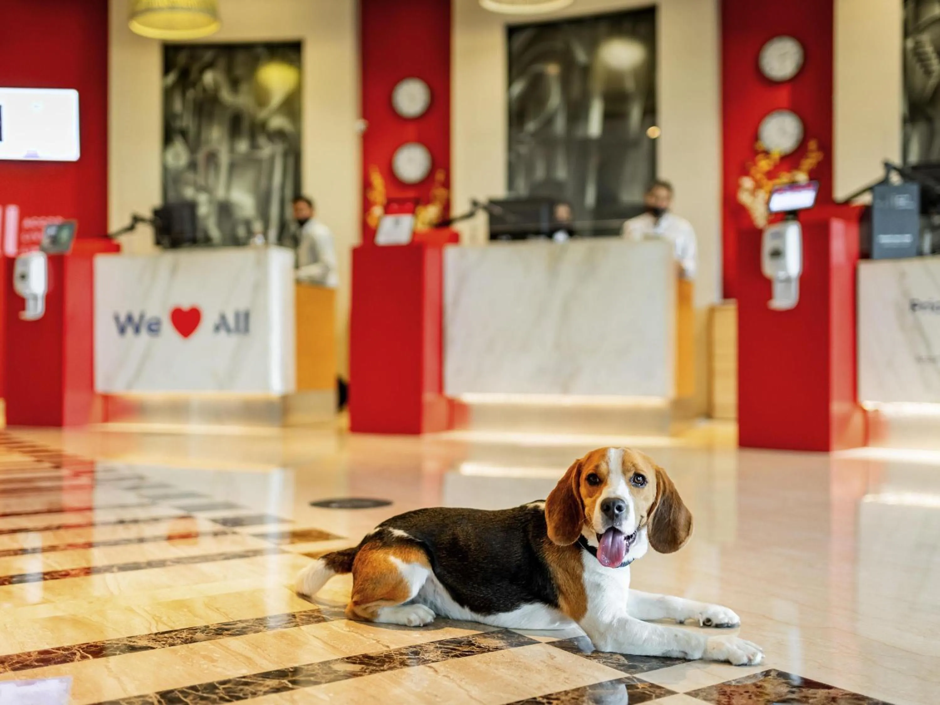 Other in ibis Bengaluru Outer Ring Road