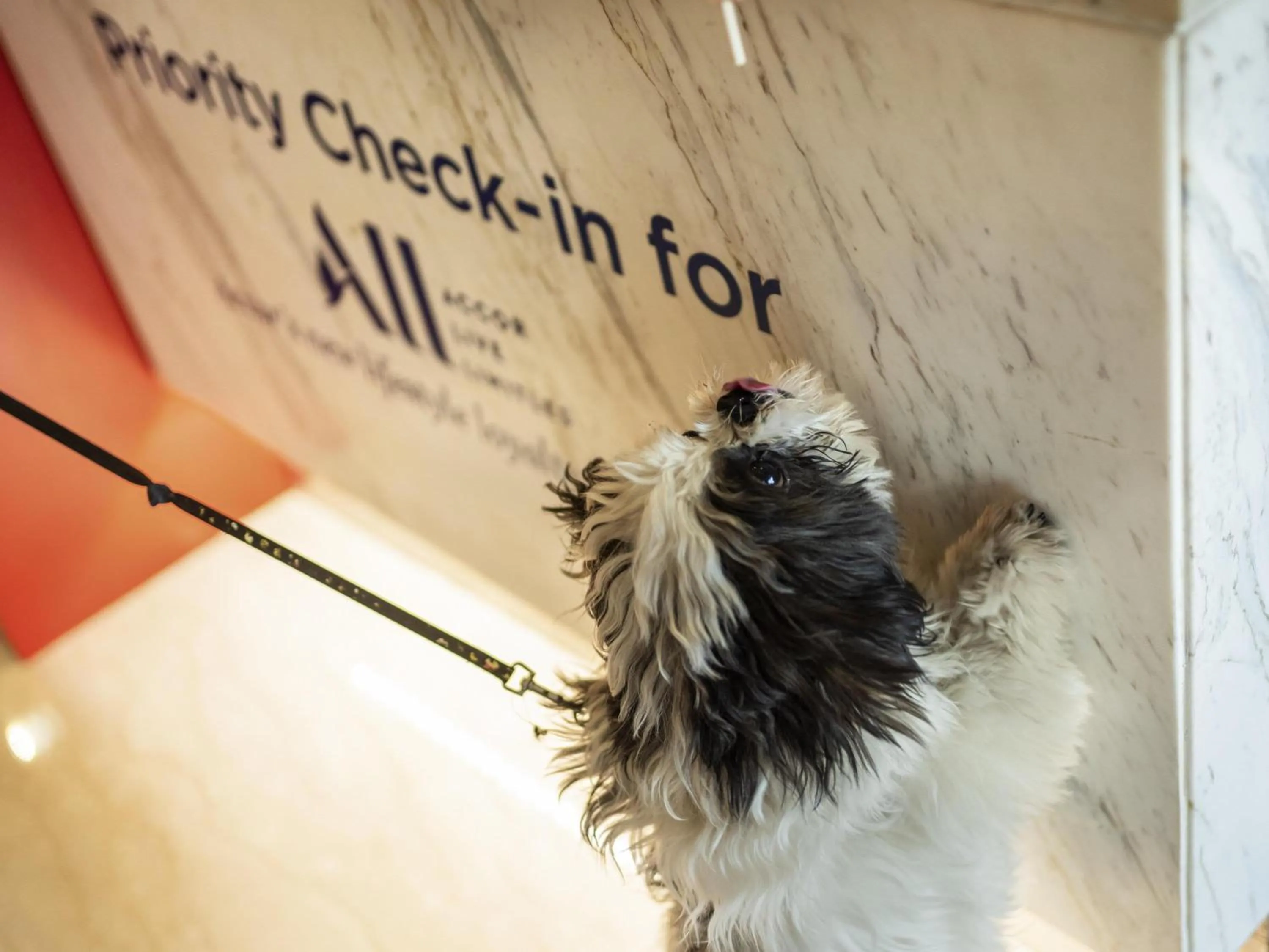 Other in ibis Bengaluru Outer Ring Road