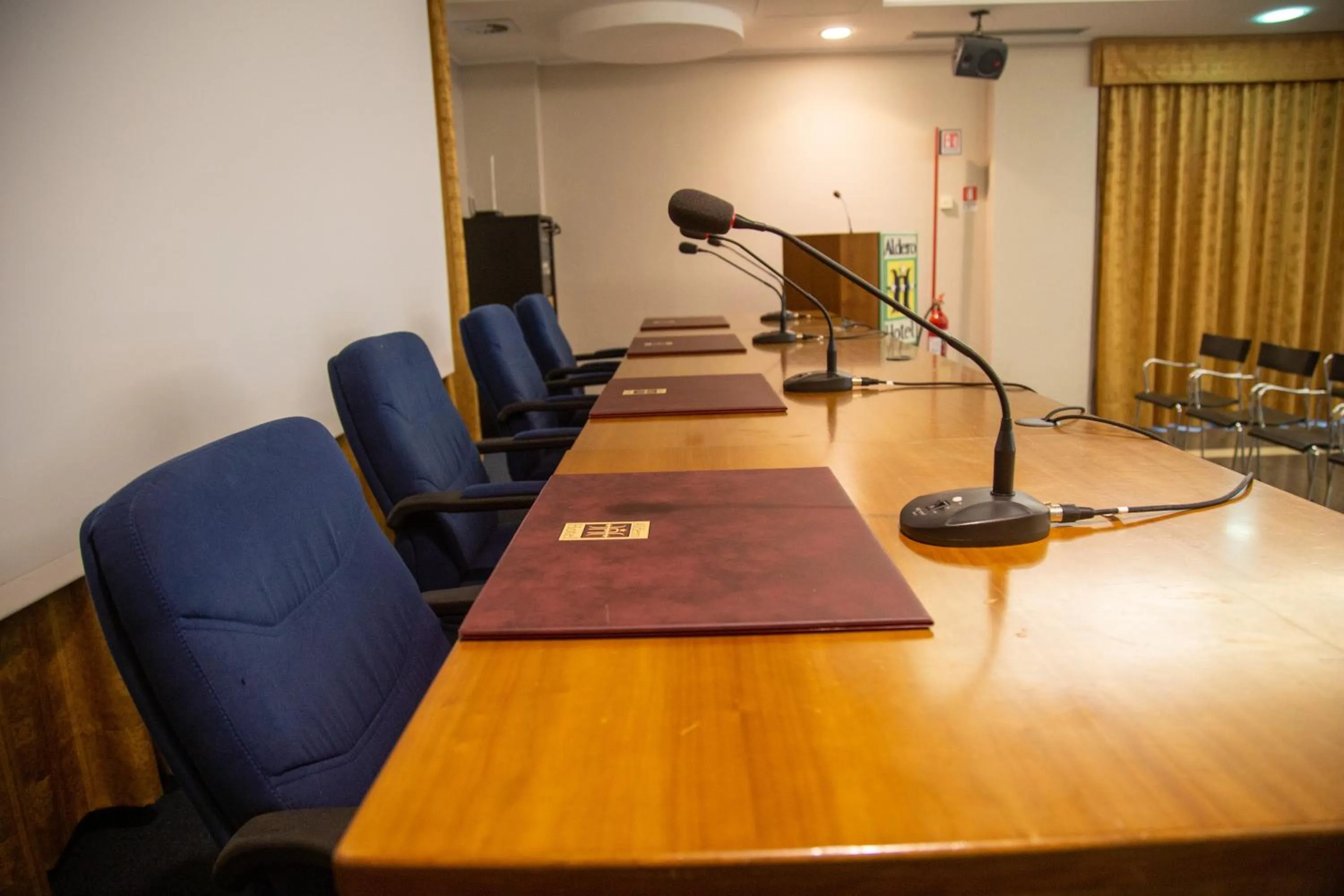 Business facilities in Aldero Hotel