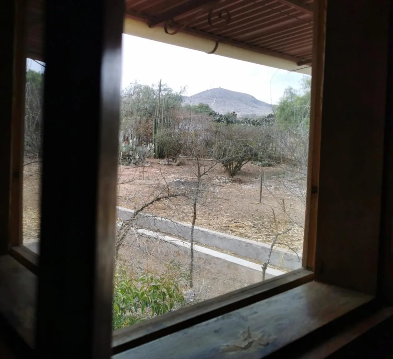 Posada Casa del Minero