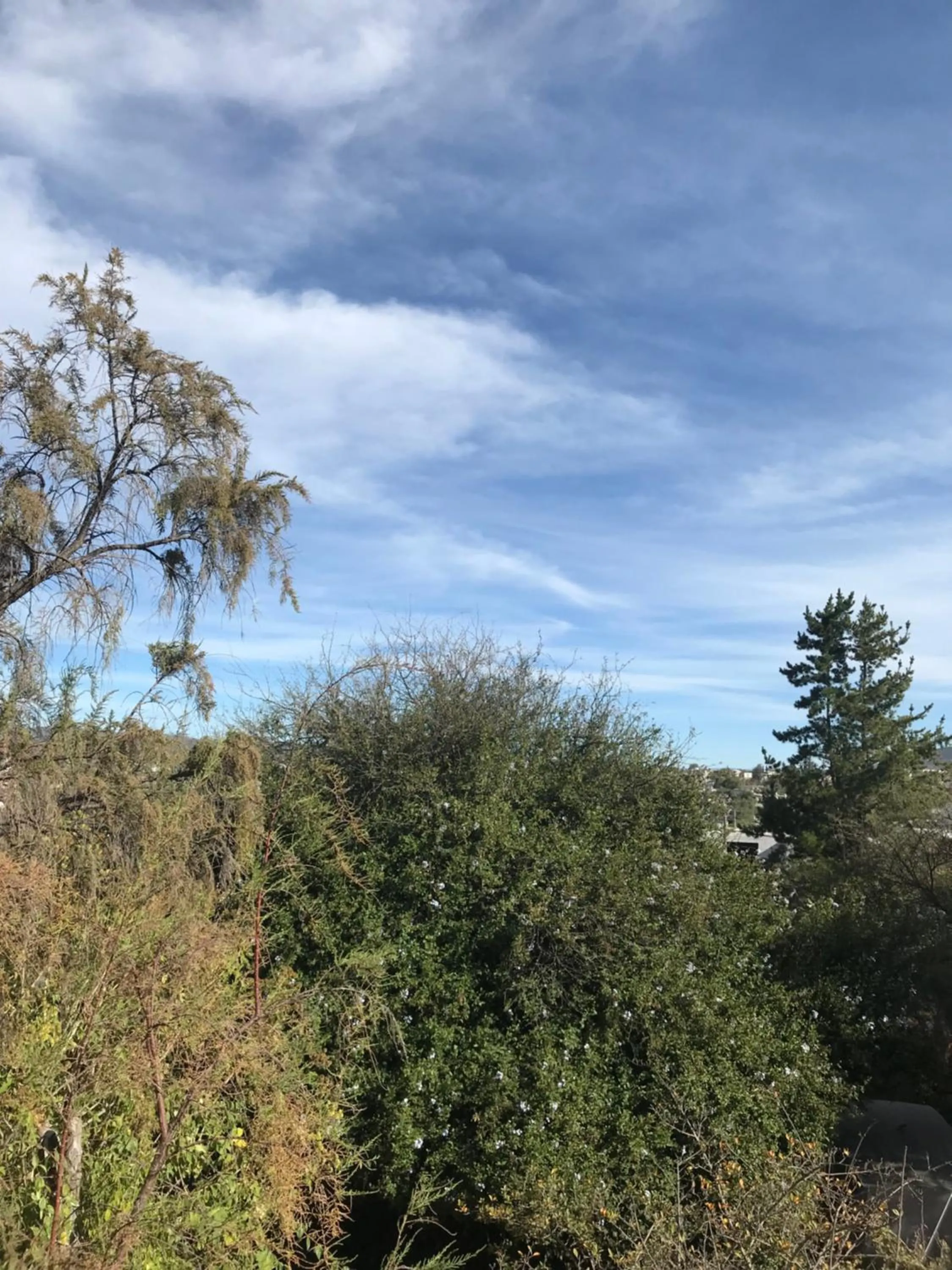 Posada Casa del Minero