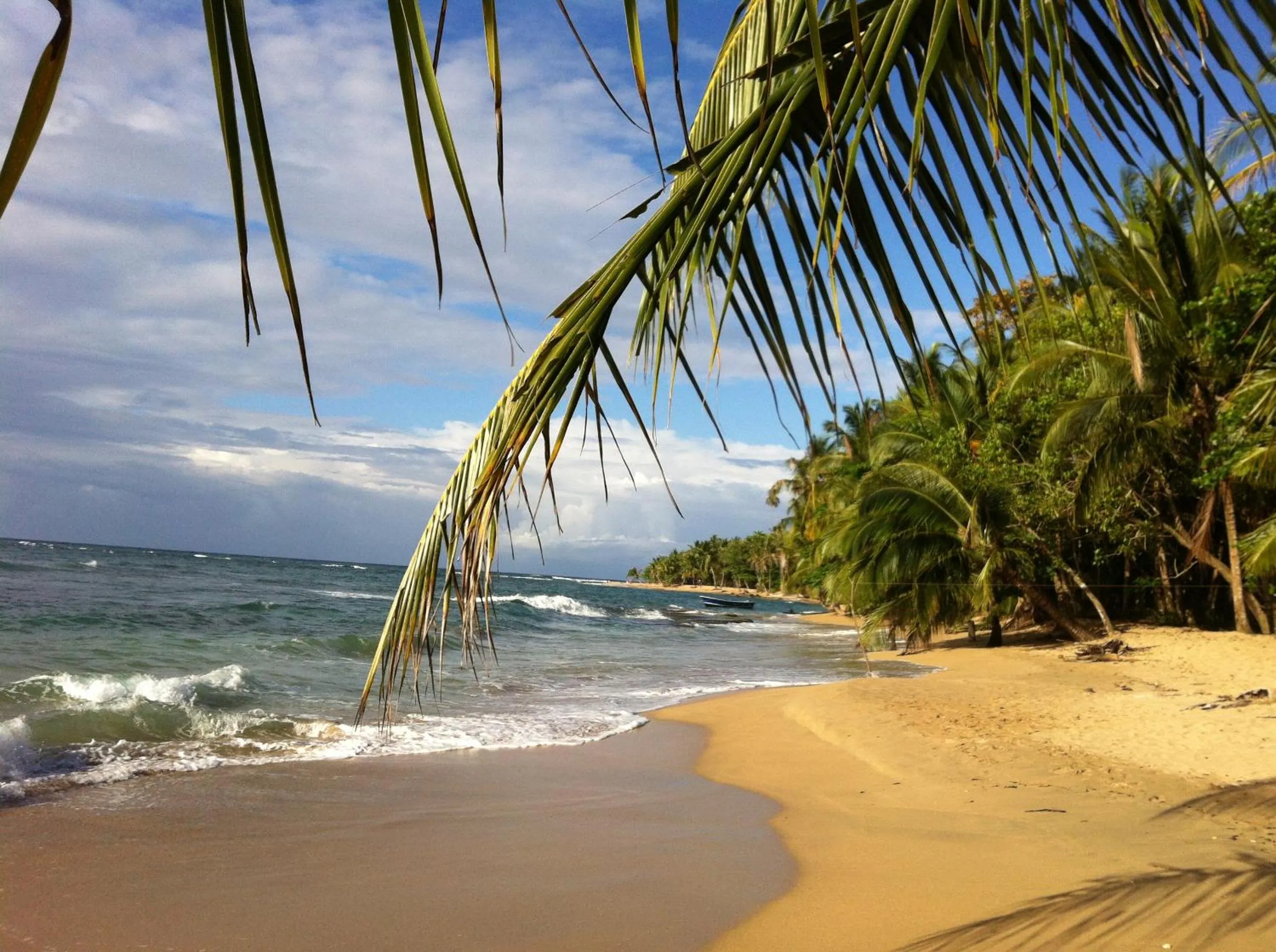 Beach in Roots Family