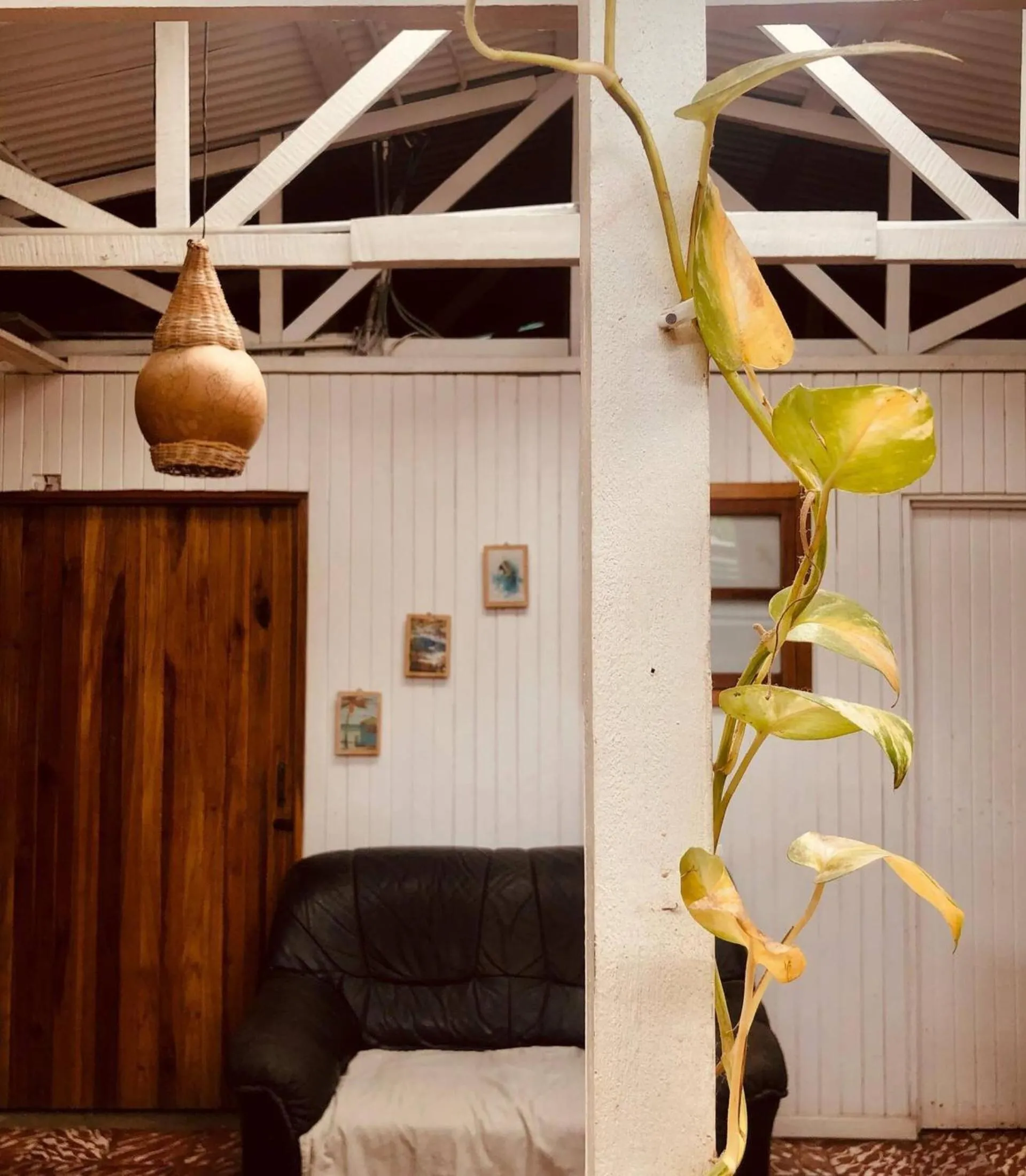 Living room in Roots Family