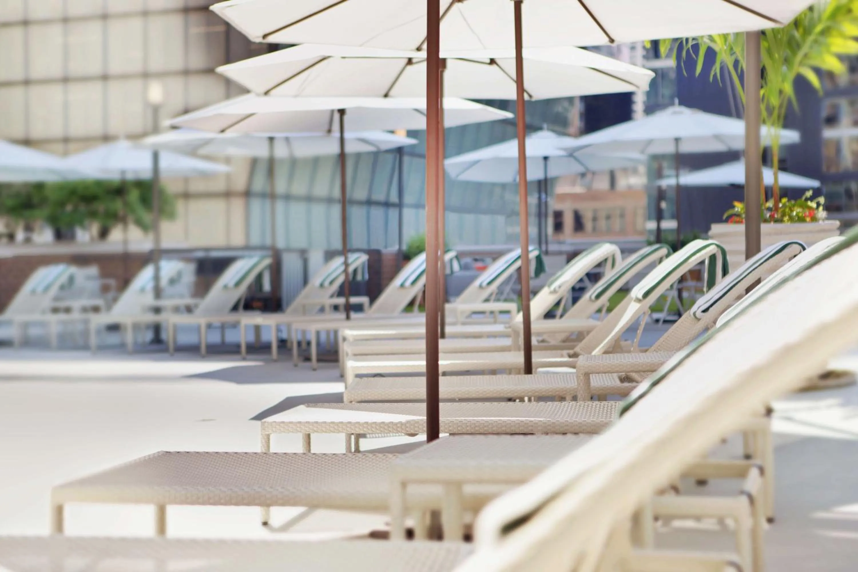 Pool view in DoubleTree by Hilton Chicago Magnificent Mile