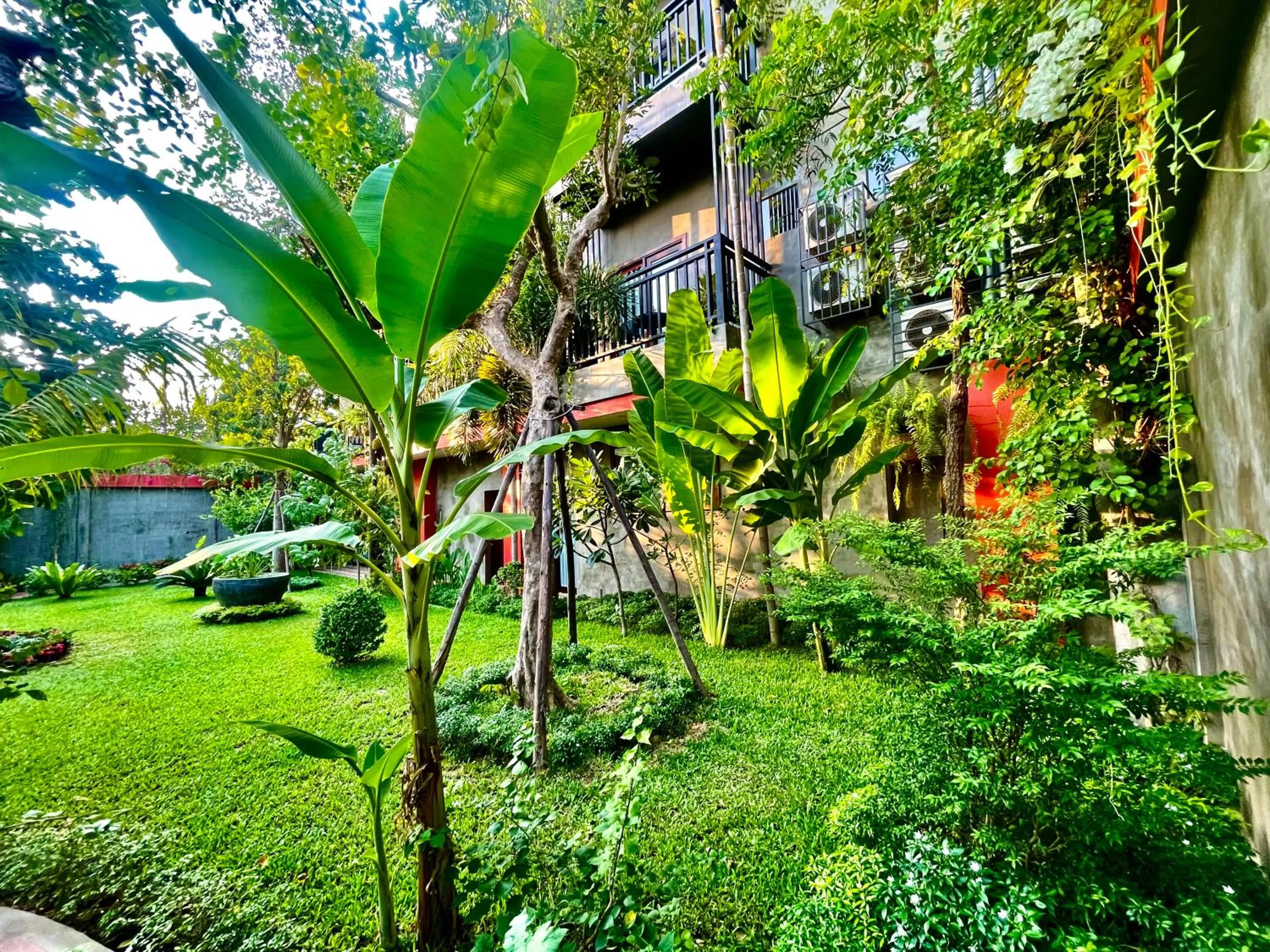 Natural landscape in Won Residence & Spa