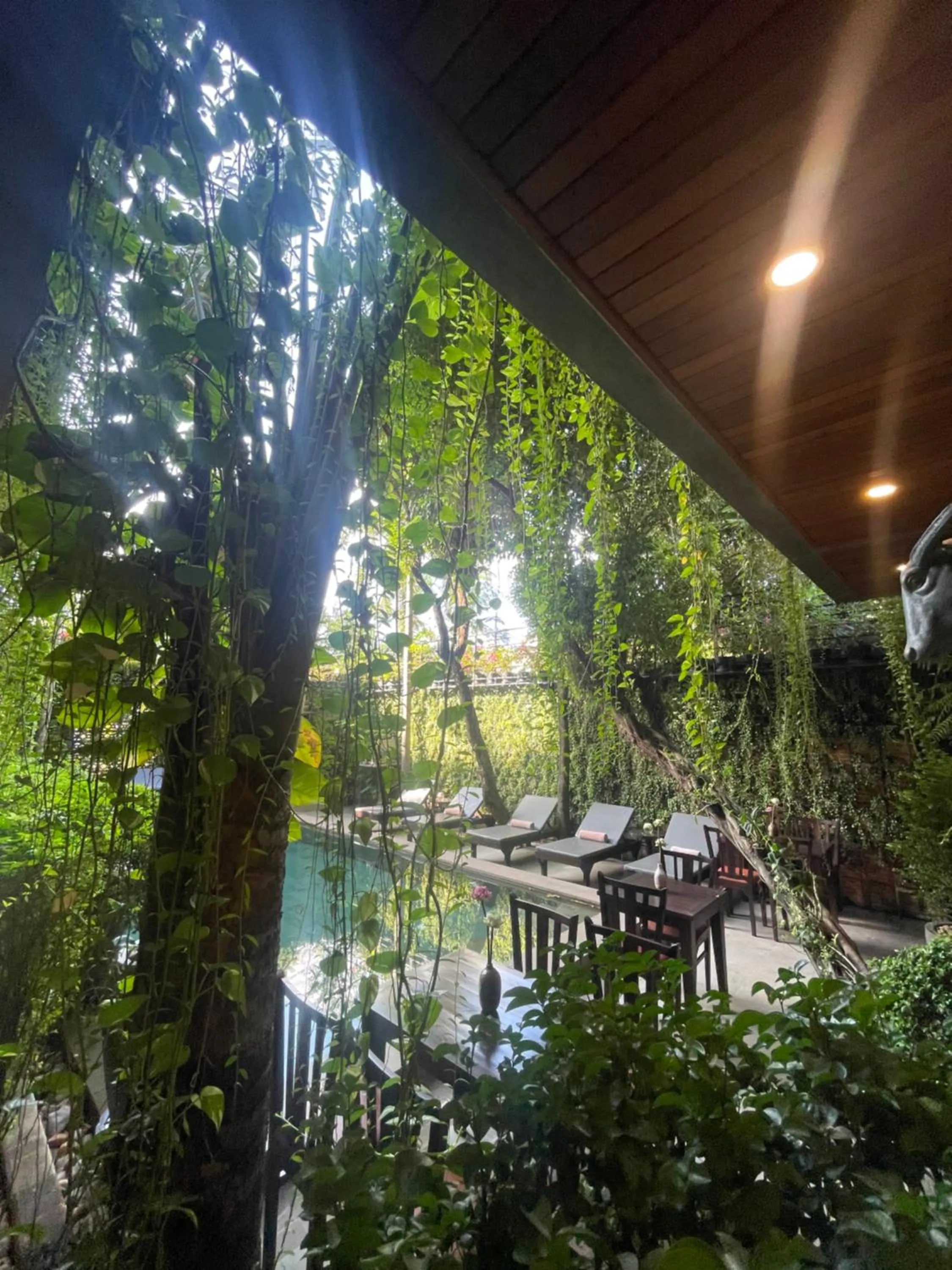 Natural landscape in Won Residence & Spa