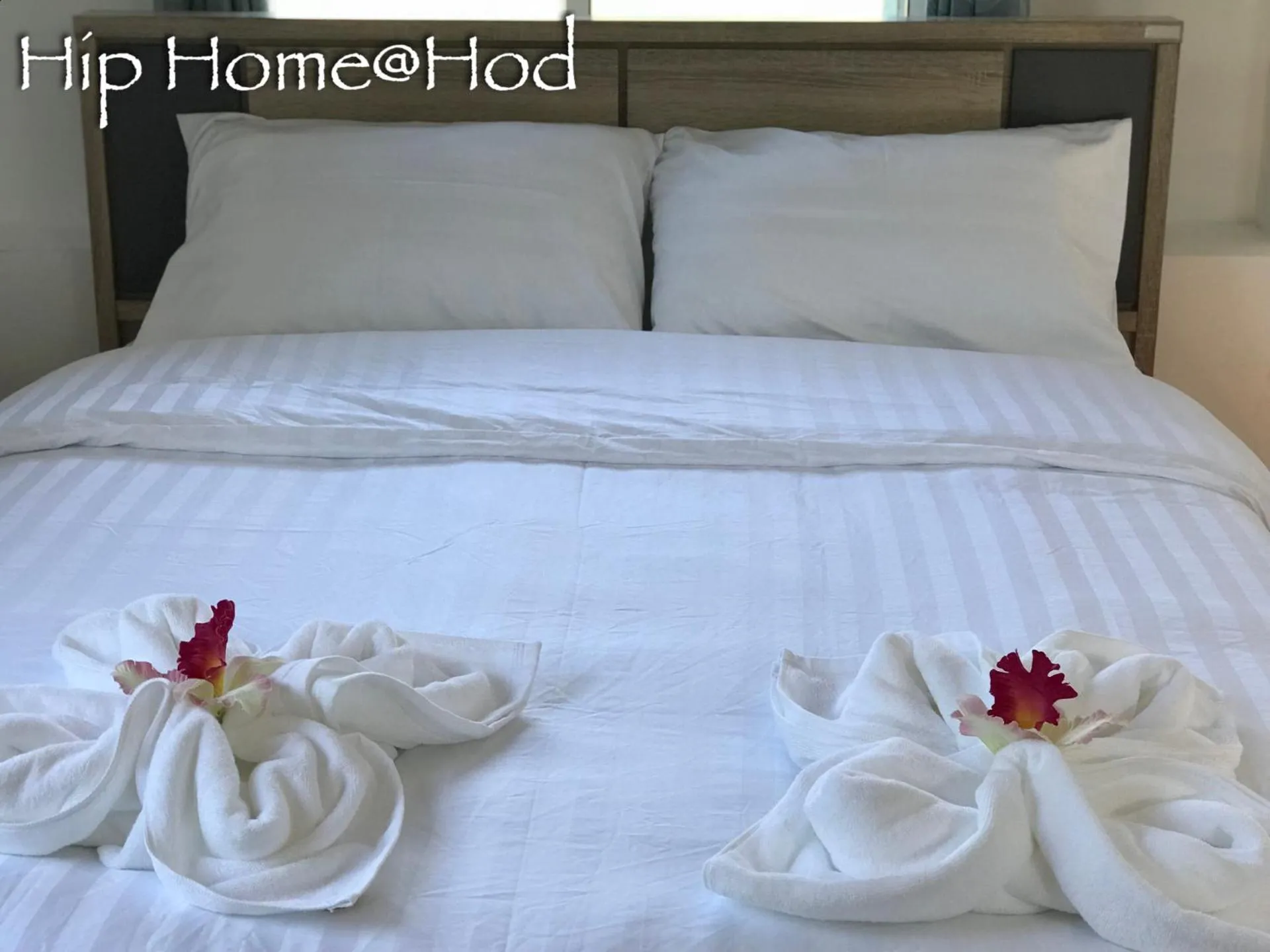 Bed in Hip Home at Hod