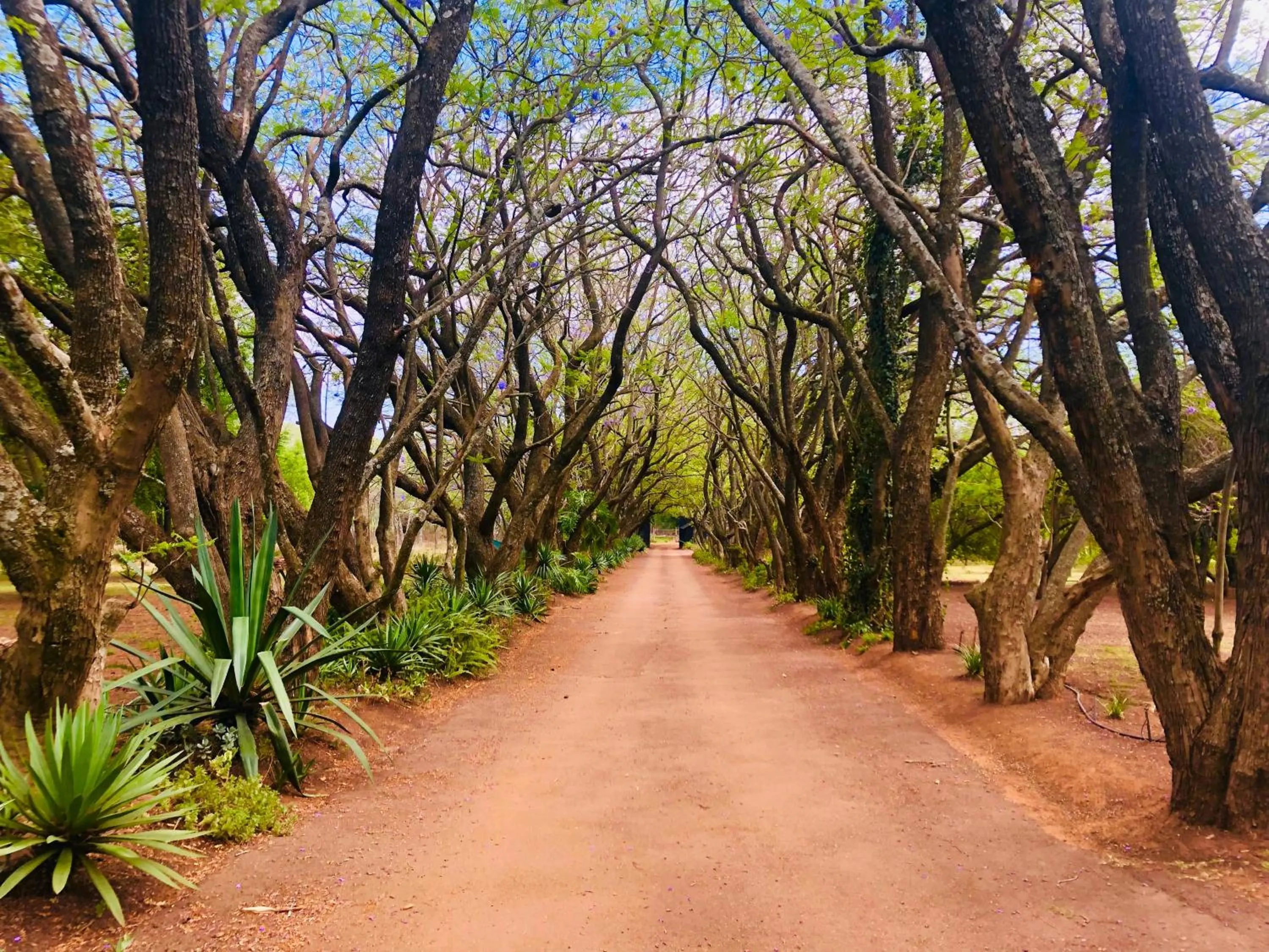 Facade/entrance in Shangri-La Country Hotel & Spa