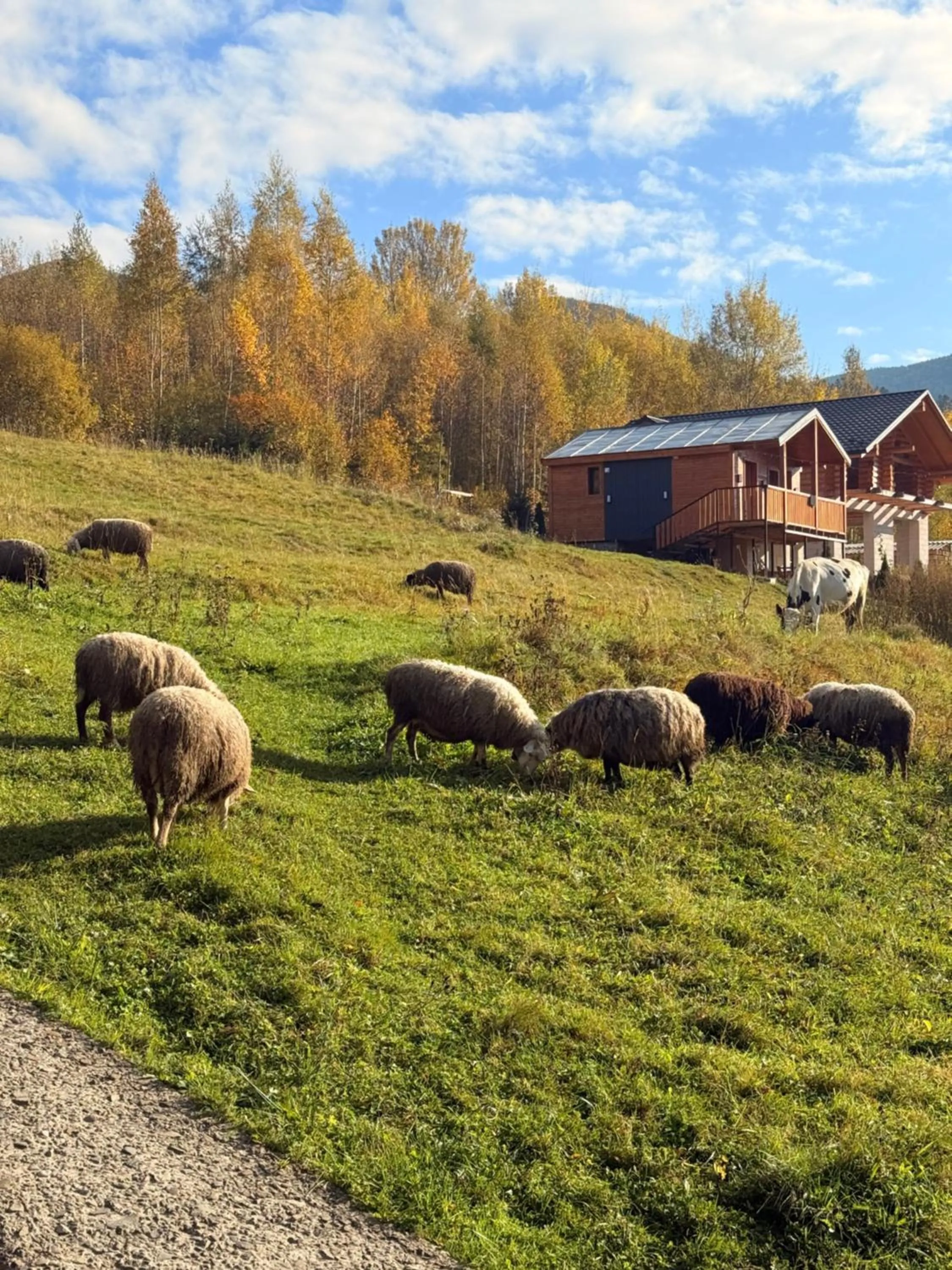 Animals in Residence Chalet & Nesh