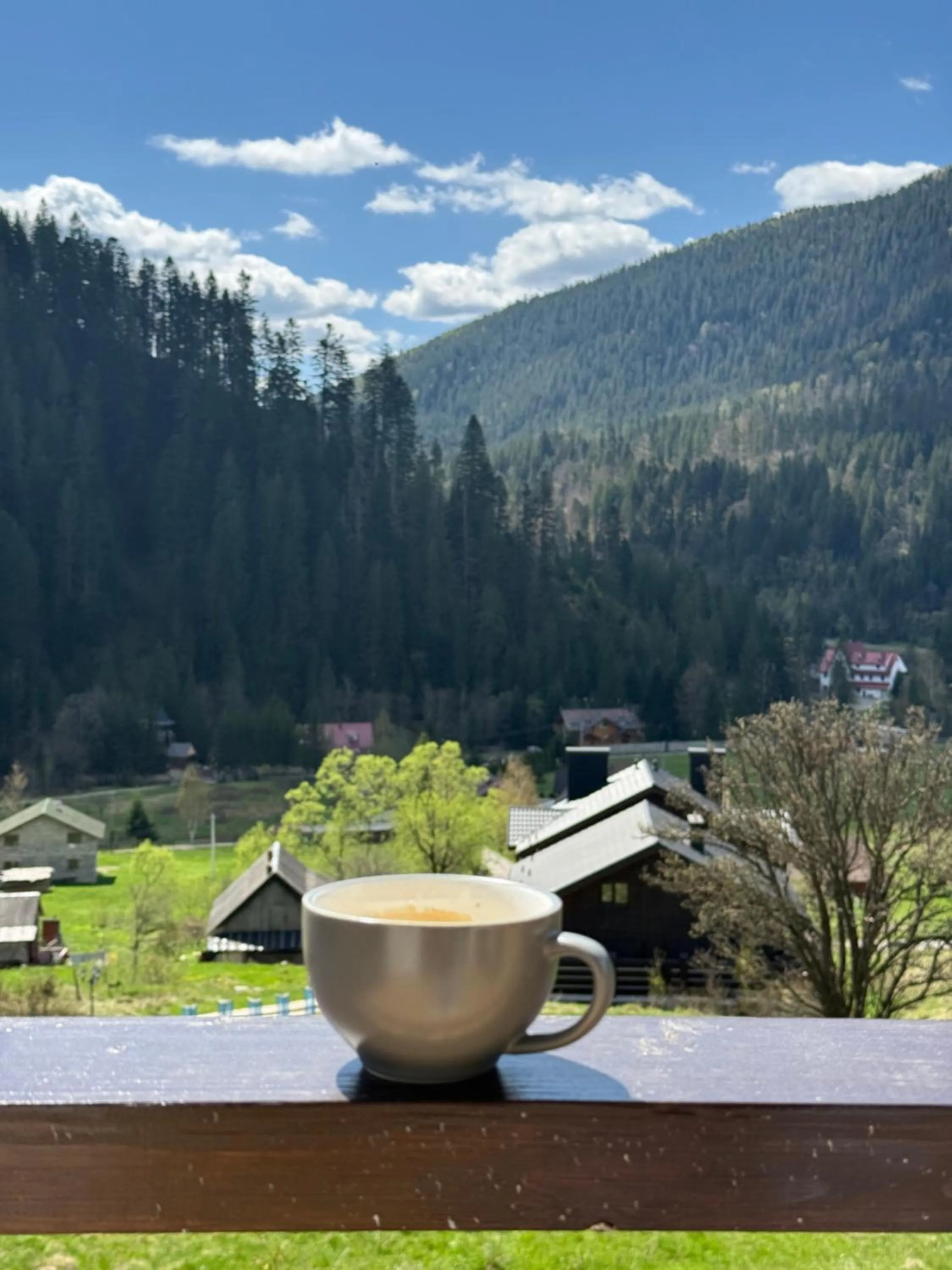 Spring in Residence Chalet & Nesh
