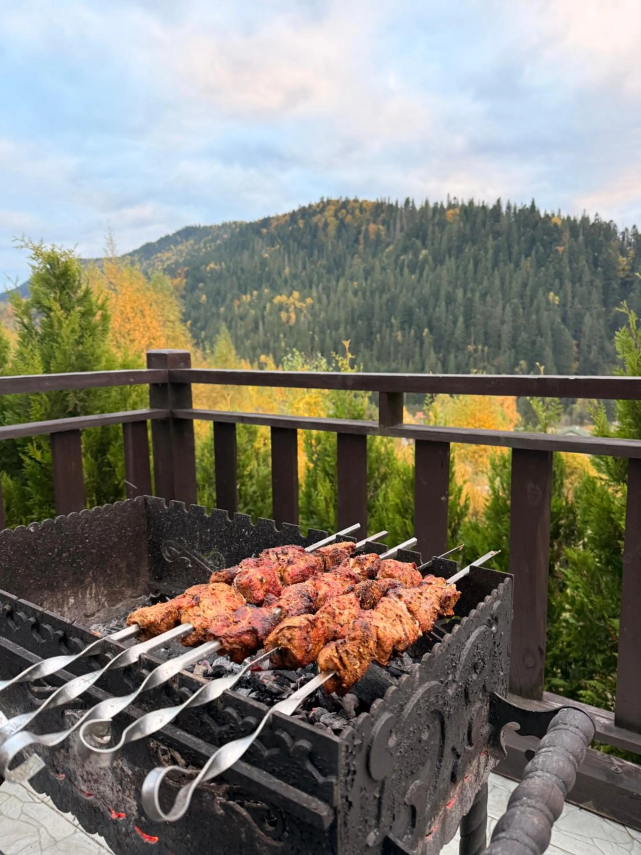 BBQ facilities in Residence Chalet & Nesh