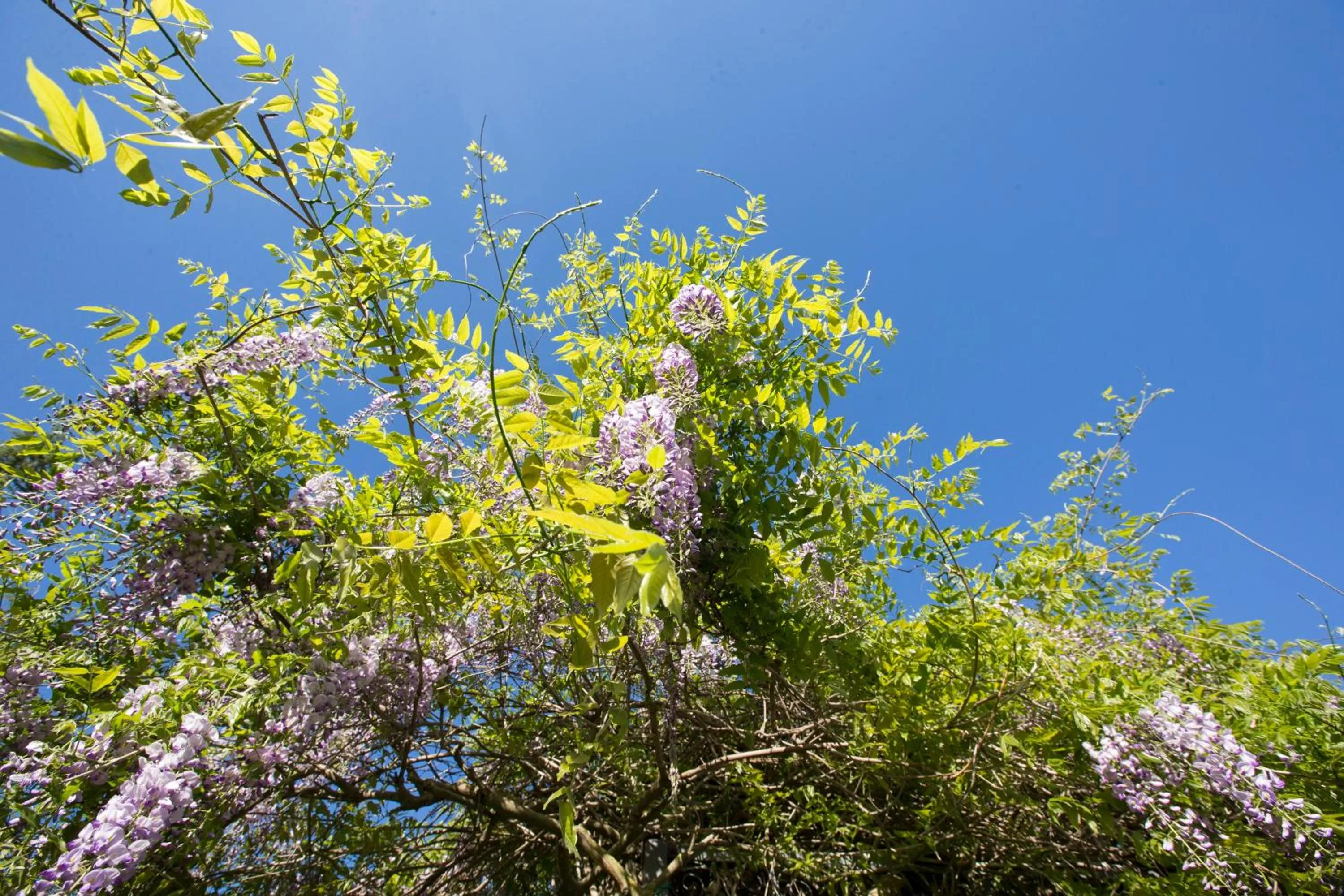 Natural landscape in Sotto Il Cielo Hotel
