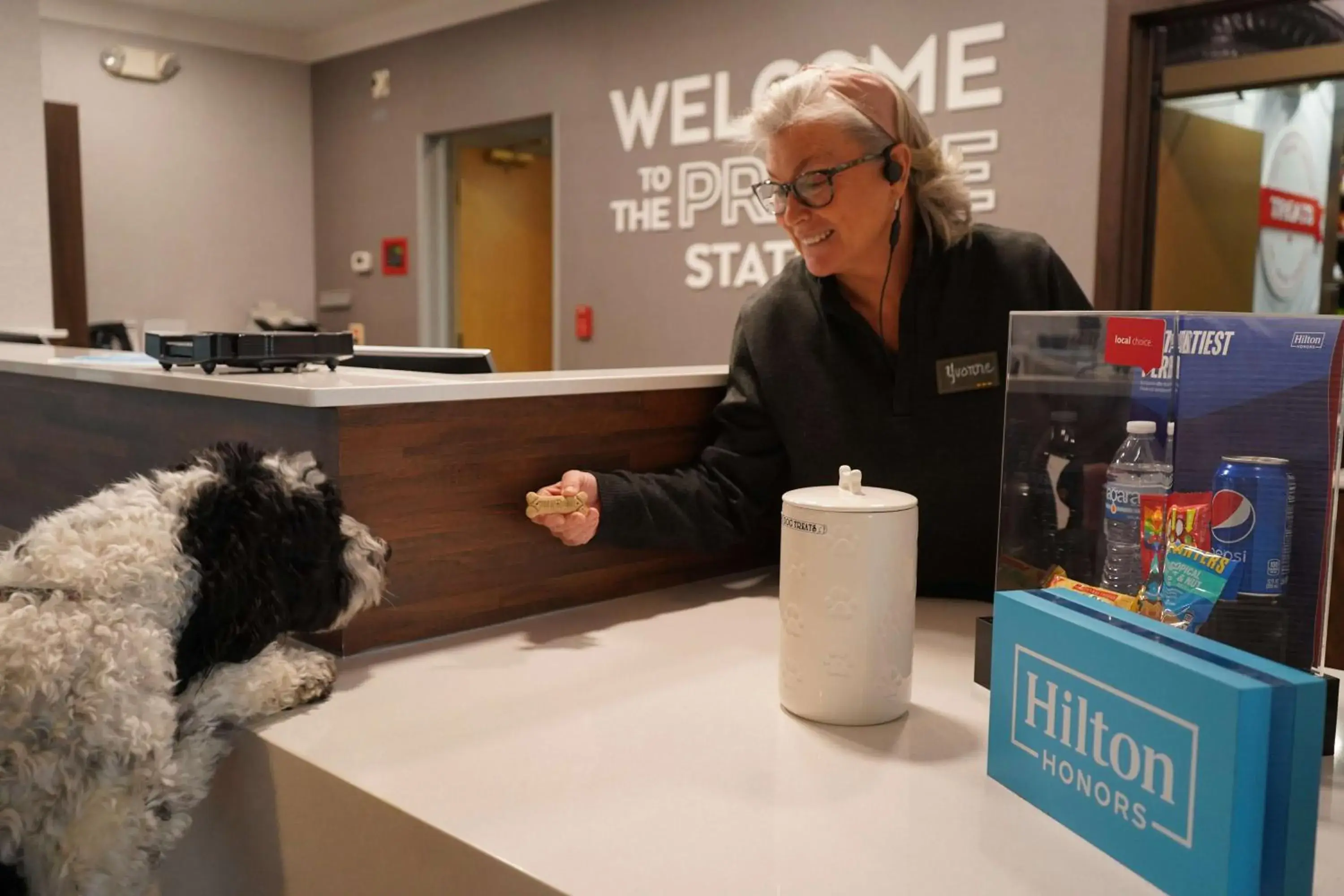 Lobby or reception in Hampton Inn & Suites Chicago/Aurora Lobby or reception in Hampton Inn & Suites Chicago/Aurora