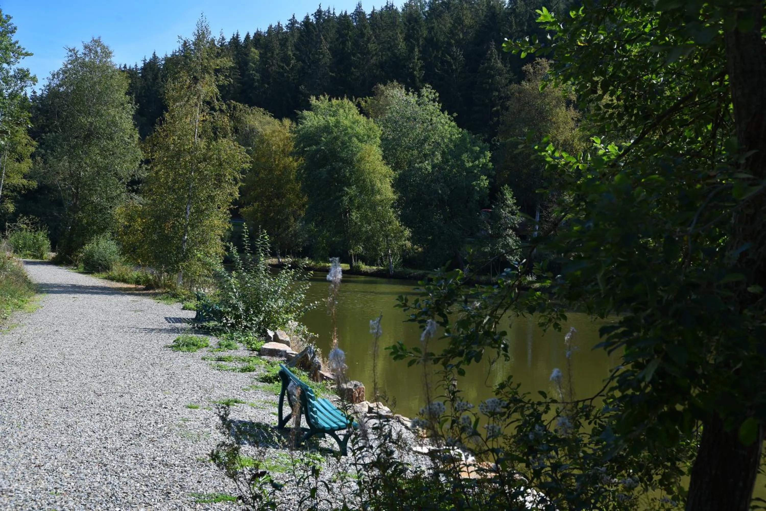 Lake view in Hotel Haus Tiefenbach