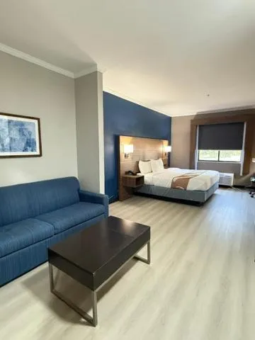 Bed in Comfort Inn & Suites Tyler North