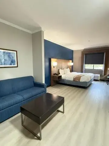 Photo of the whole room, Bed in Comfort Inn & Suites Tyler North Photo of the whole room, Bed in Comfort Inn & Suites Tyler North