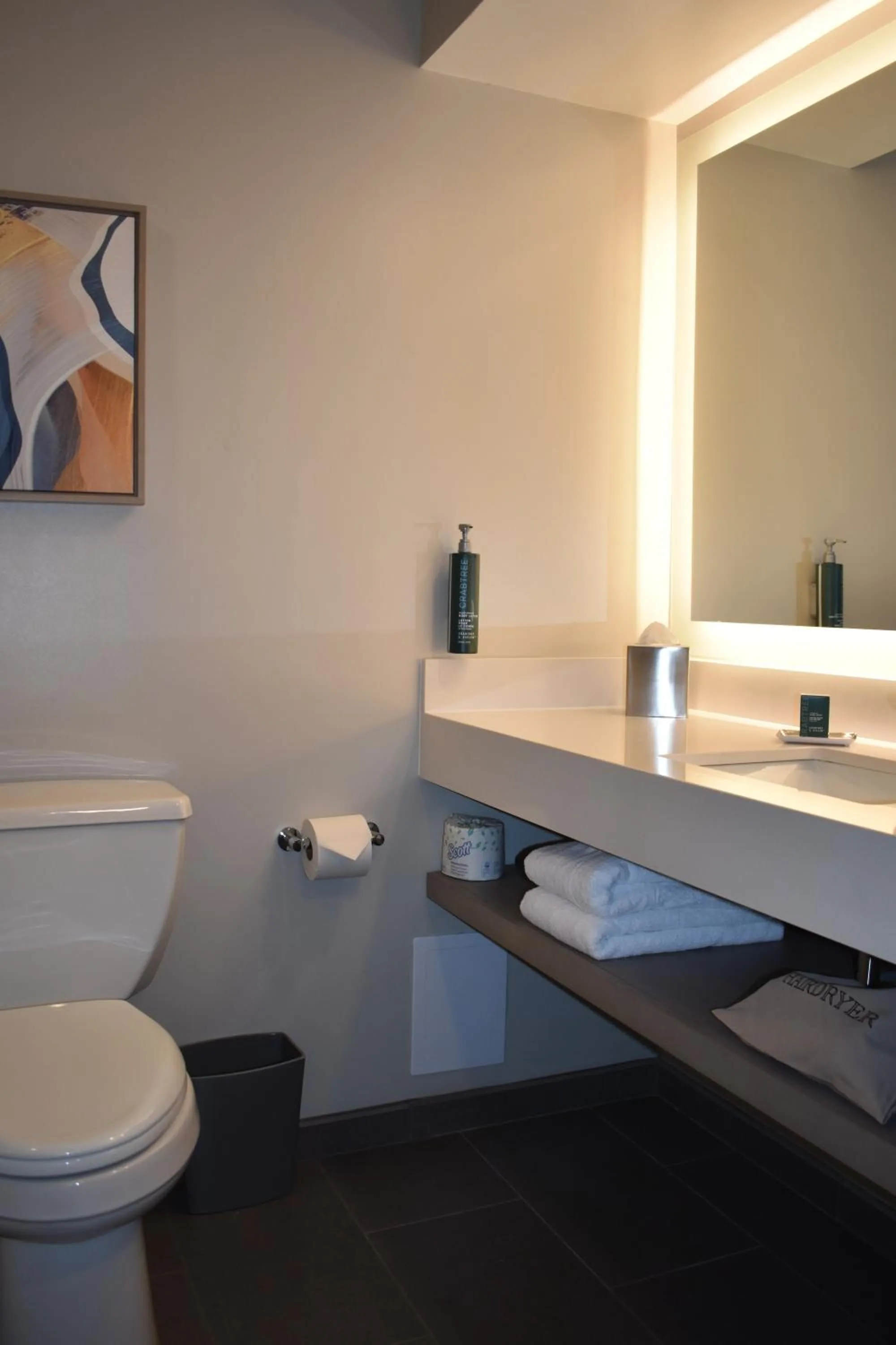 Bathroom in DoubleTree by Hilton Chicago - Oak Brook