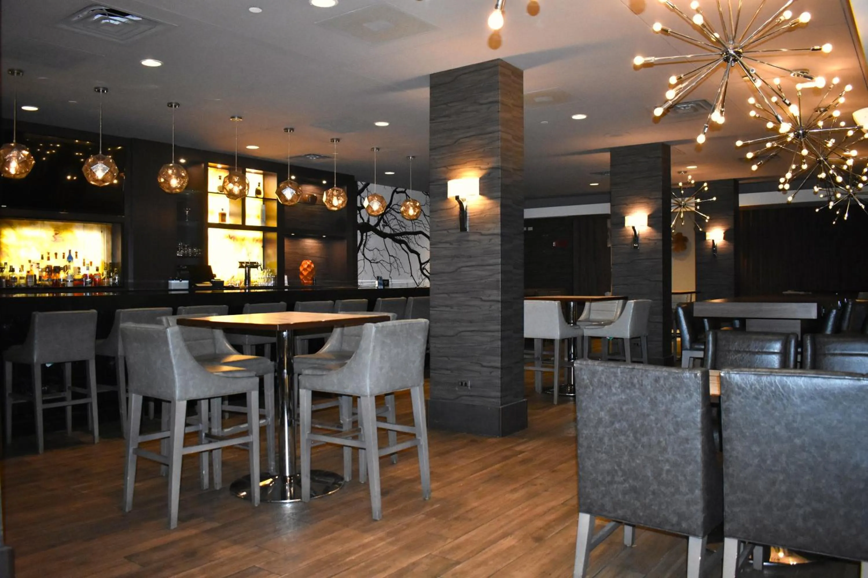 Lounge or bar in DoubleTree by Hilton Chicago - Oak Brook