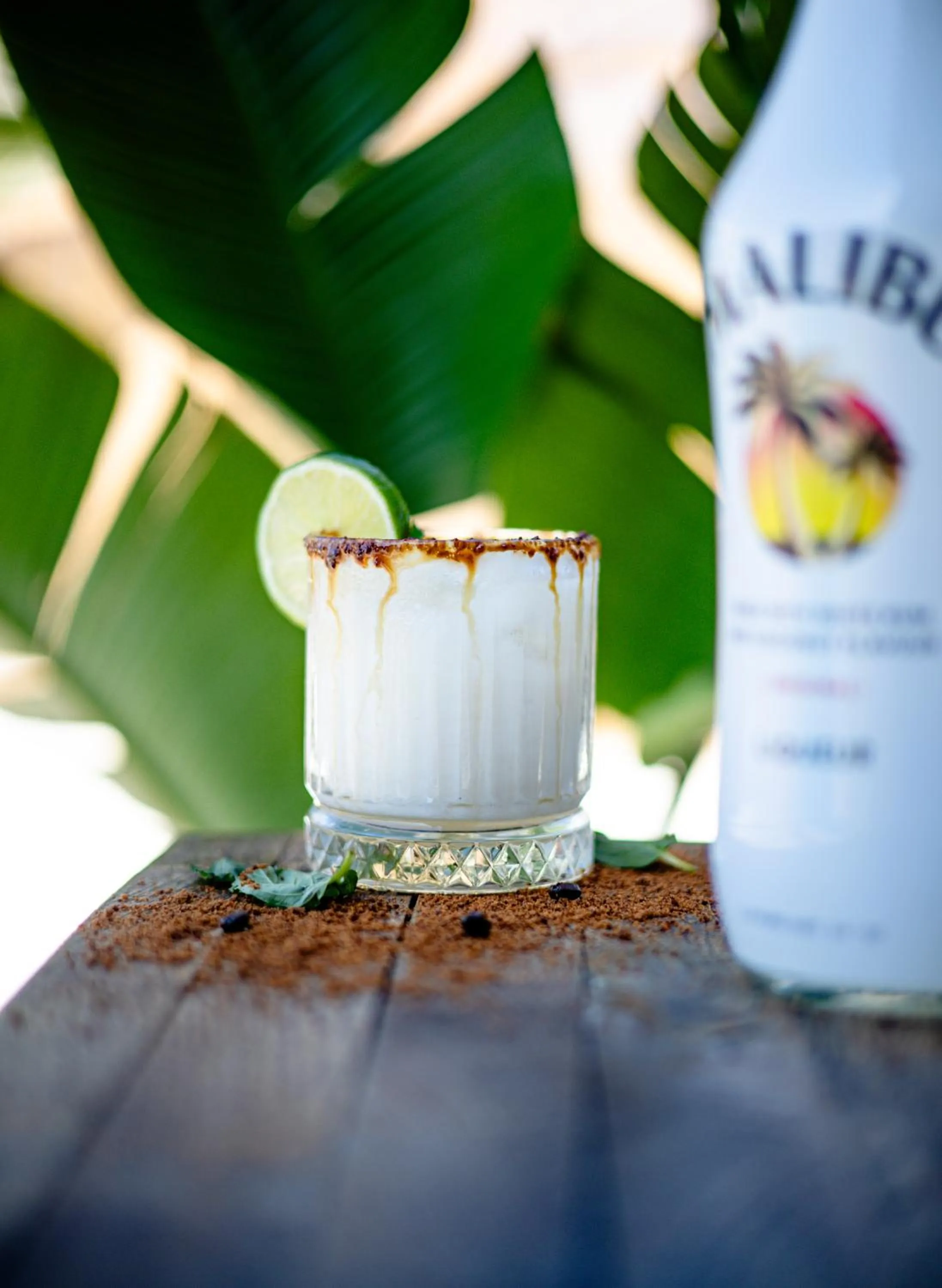 Day in Relax Sozopol