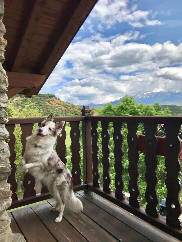 Balcony/Terrace in Mas D'en Roqueta