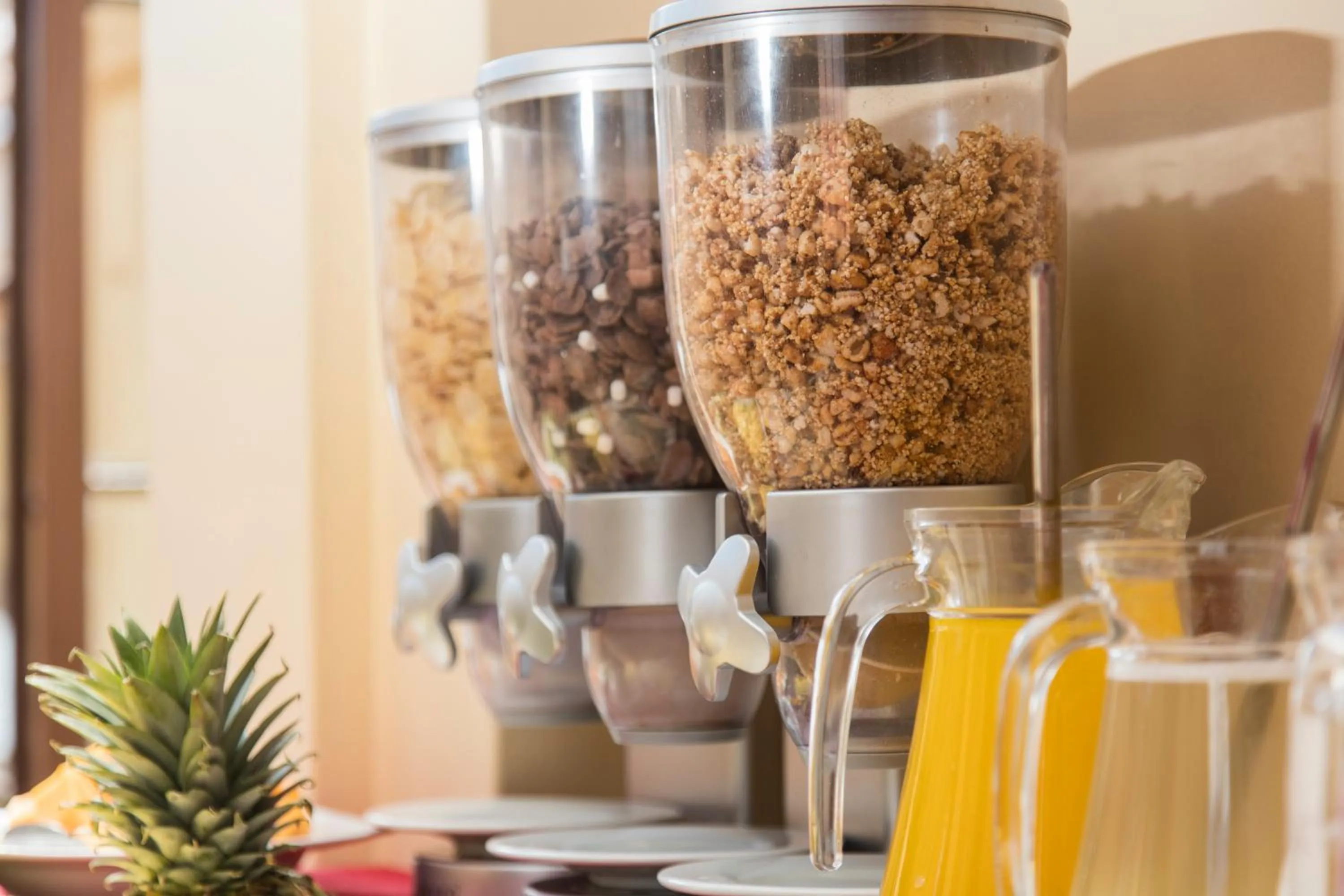 Food close-up in Hostal & Apartments El Triunfo