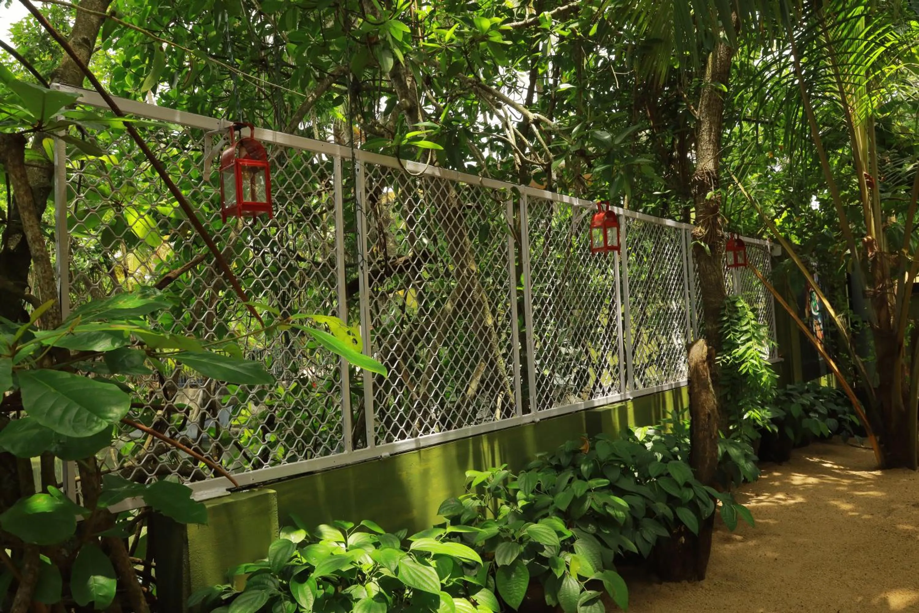 Lakefront Beach Homes