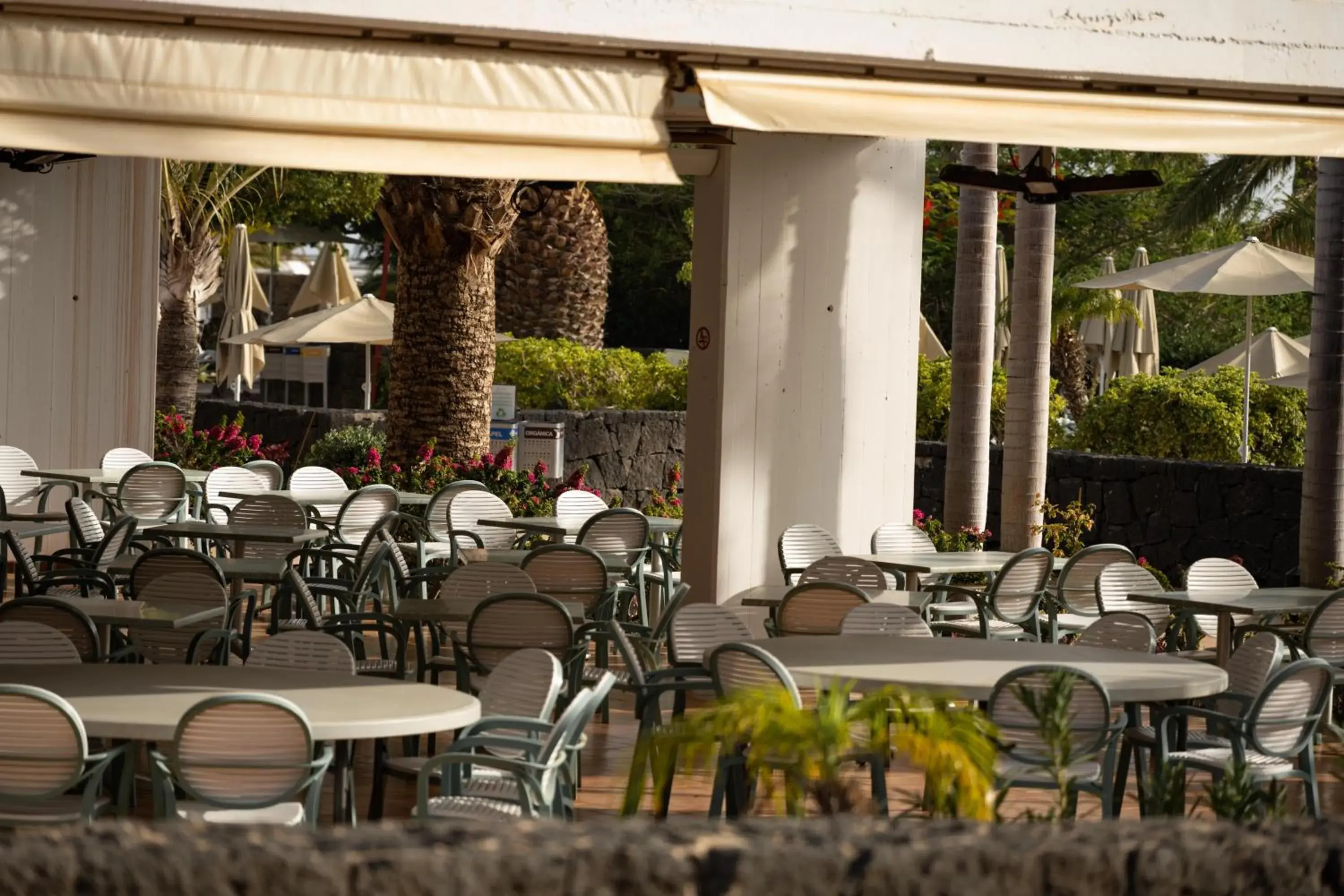 Restaurant/places to eat in Hotel Costa Calero Thalasso & Spa Restaurant/places to eat in Hotel Costa Calero Thalasso & Spa