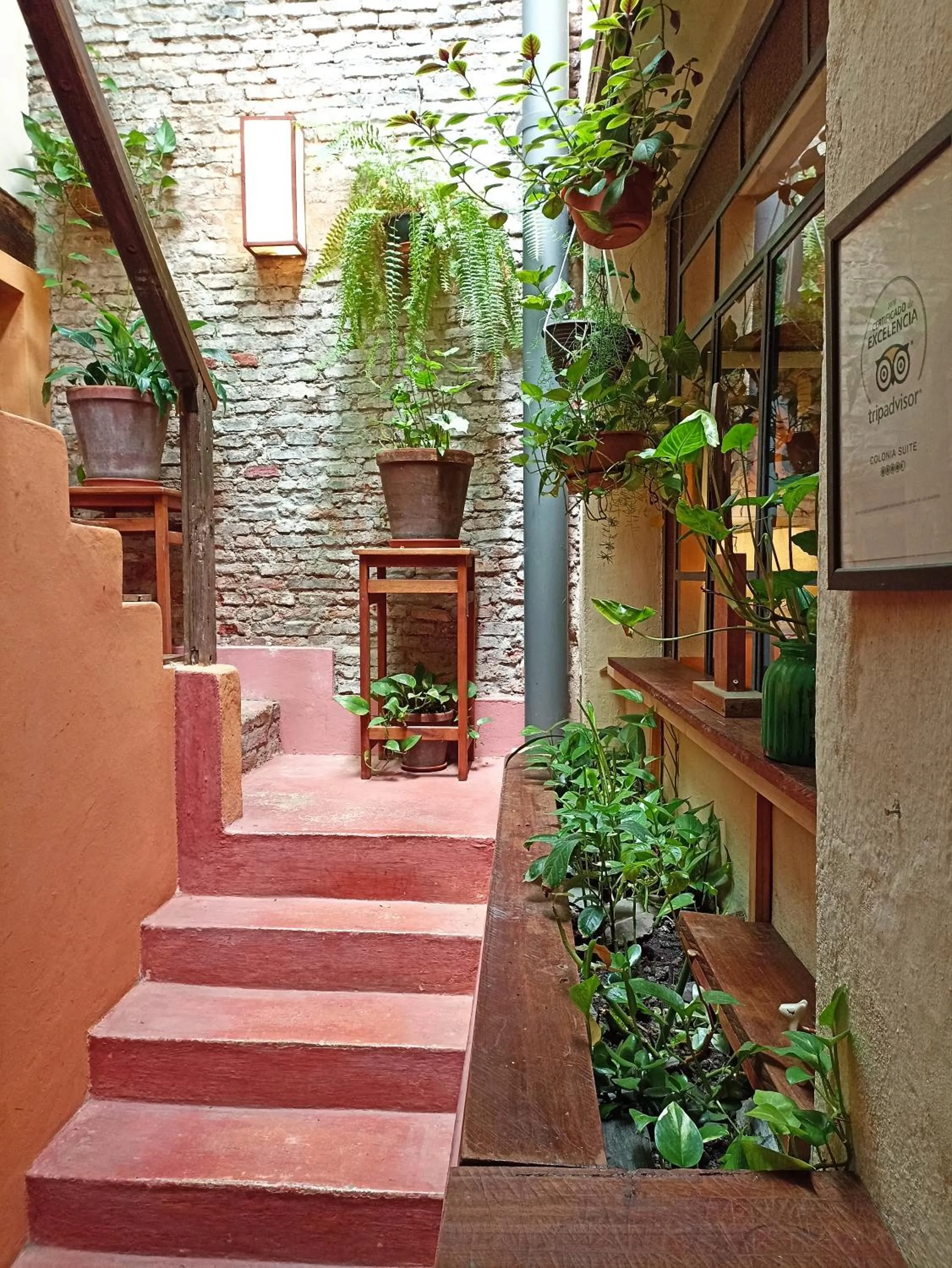 Property building in Colonia Suite Apartments