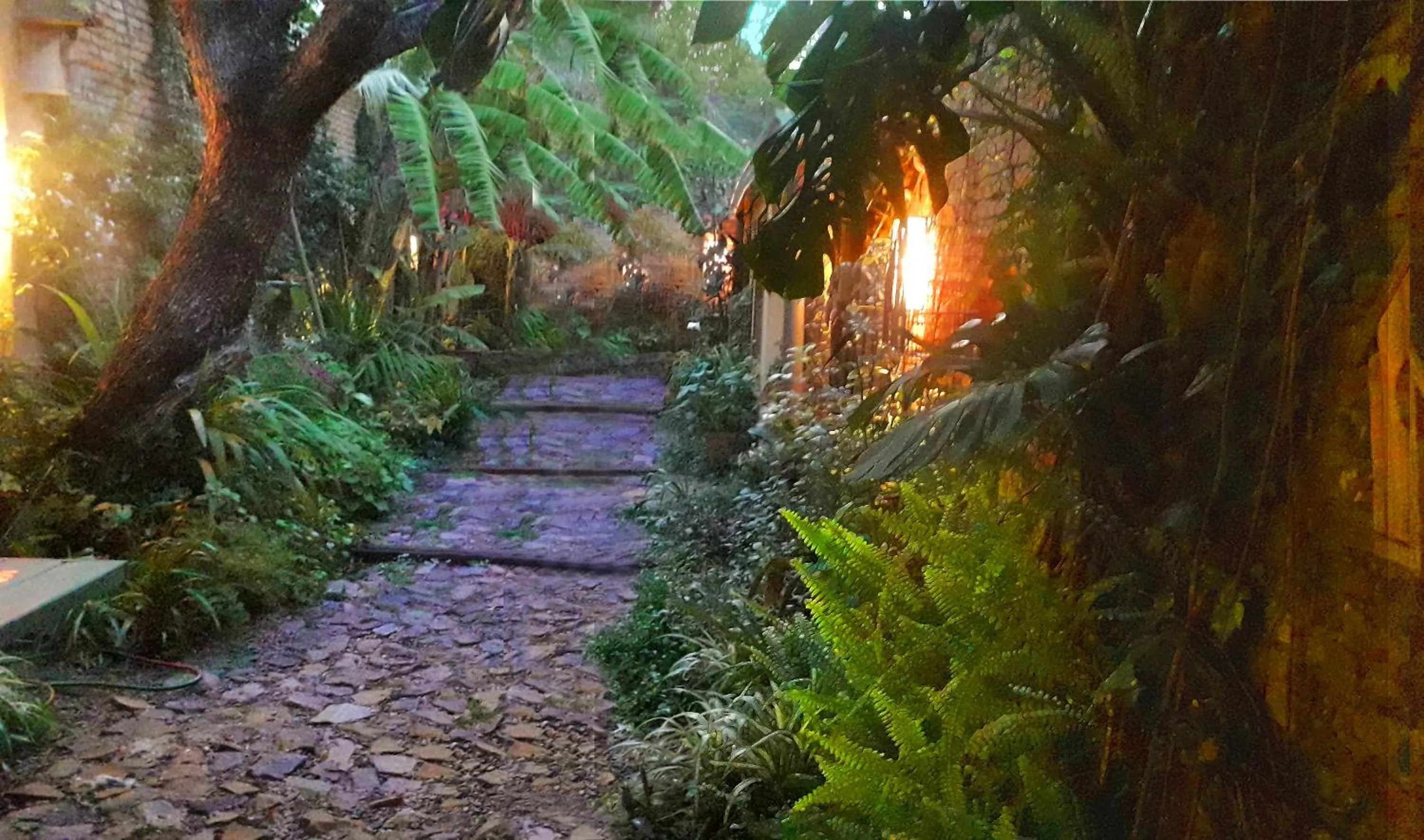 Garden in Colonia Suite Apartments