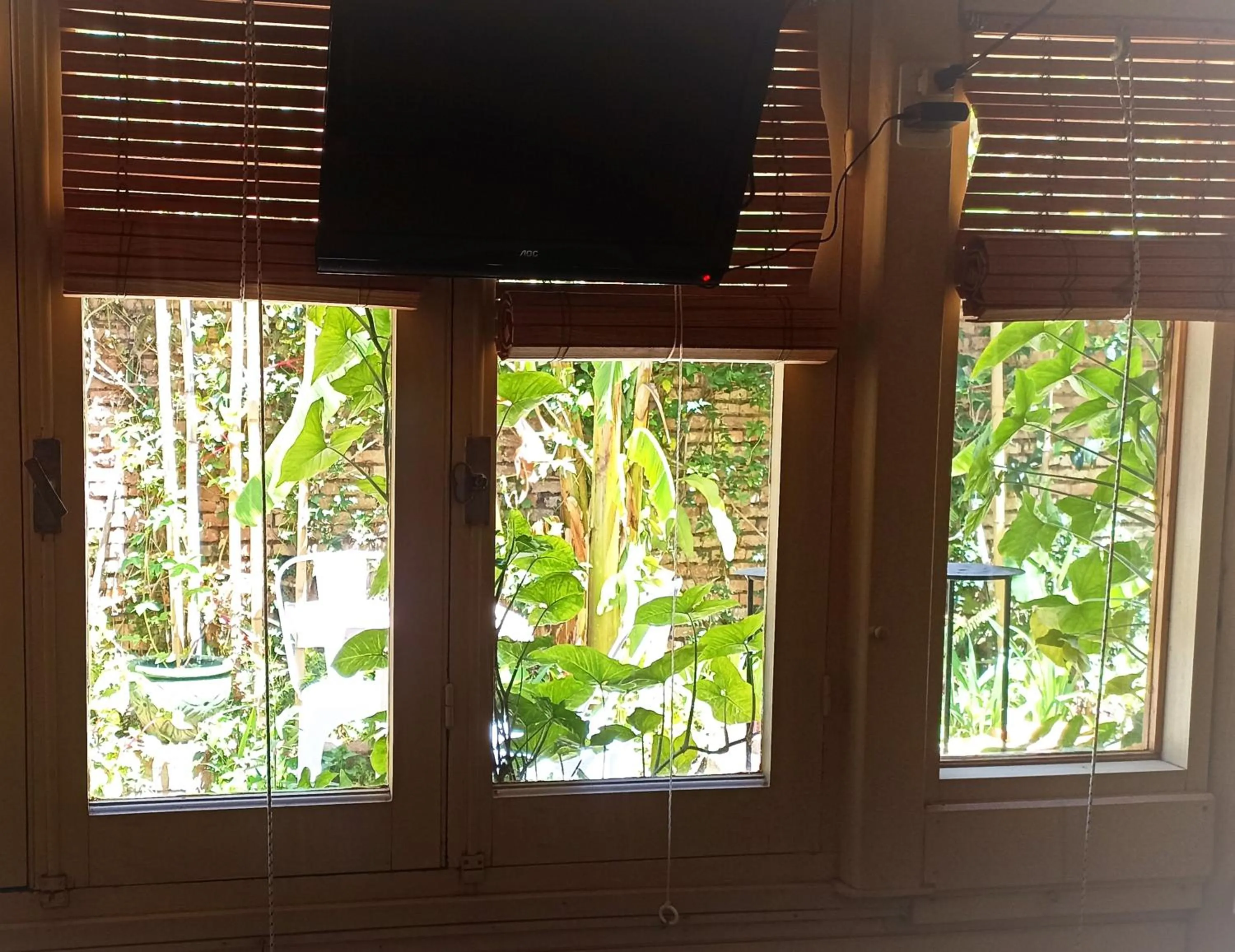 Garden in Colonia Suite Apartments