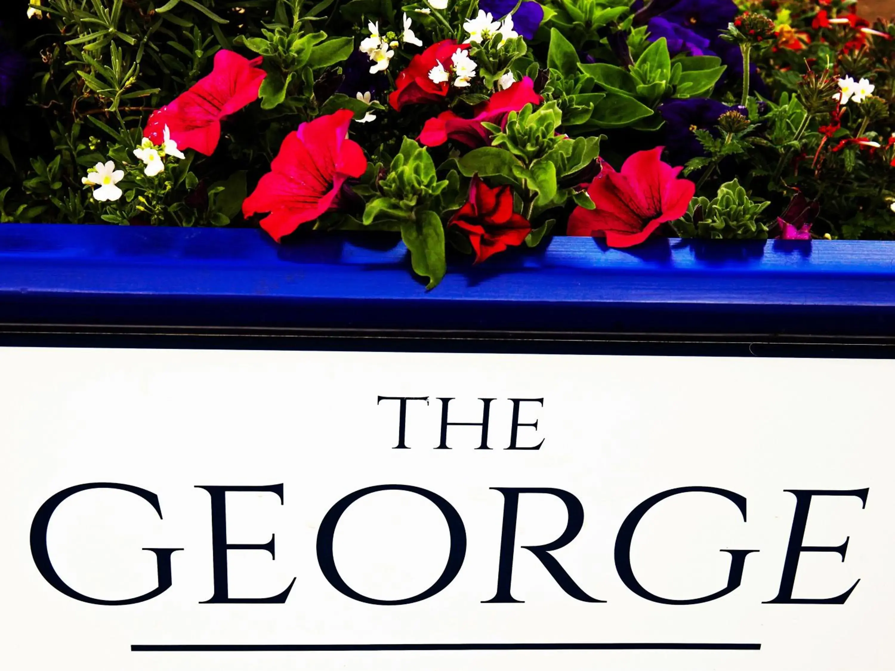 Property building in The George Property building in The George