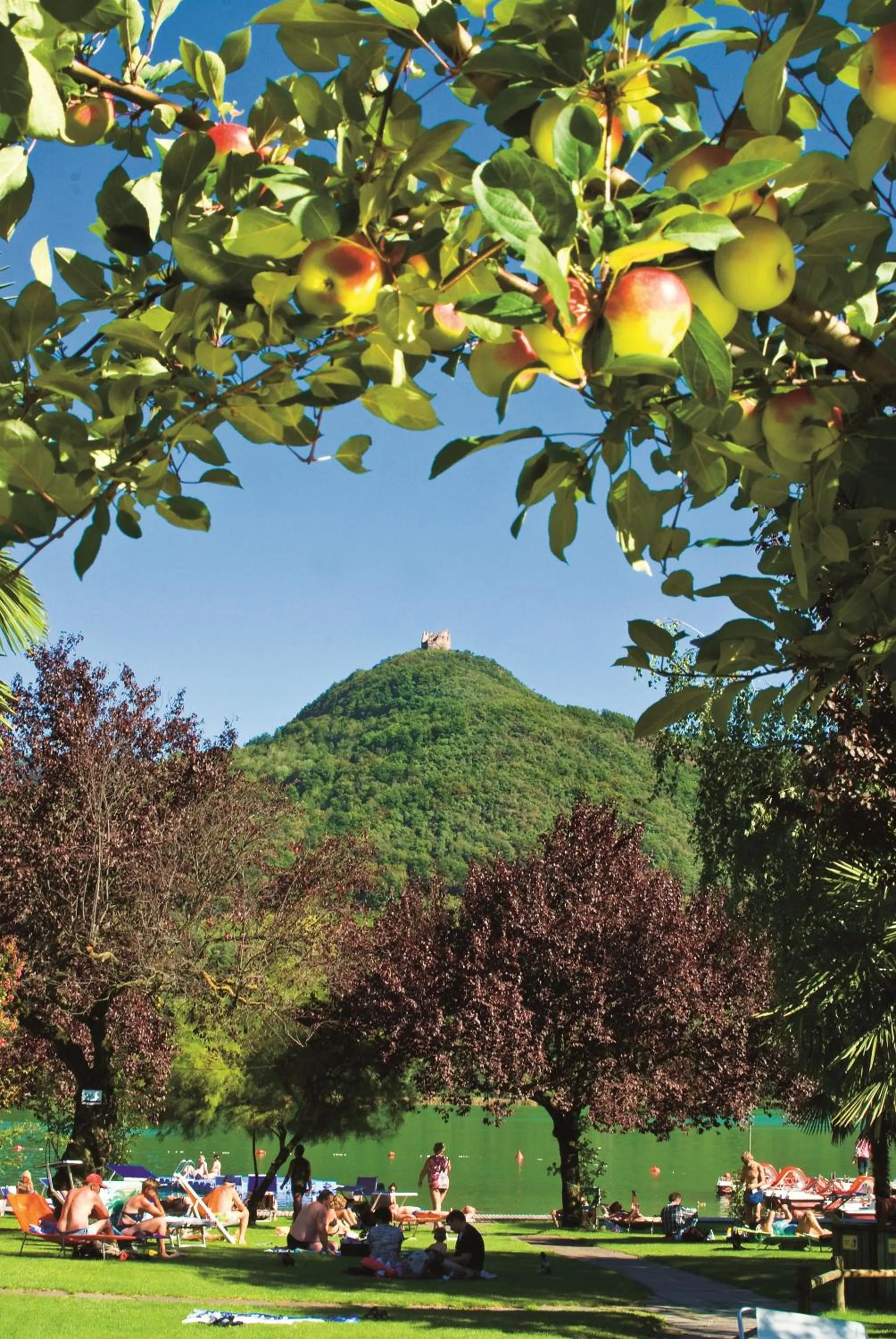 Natural landscape in Seegarten