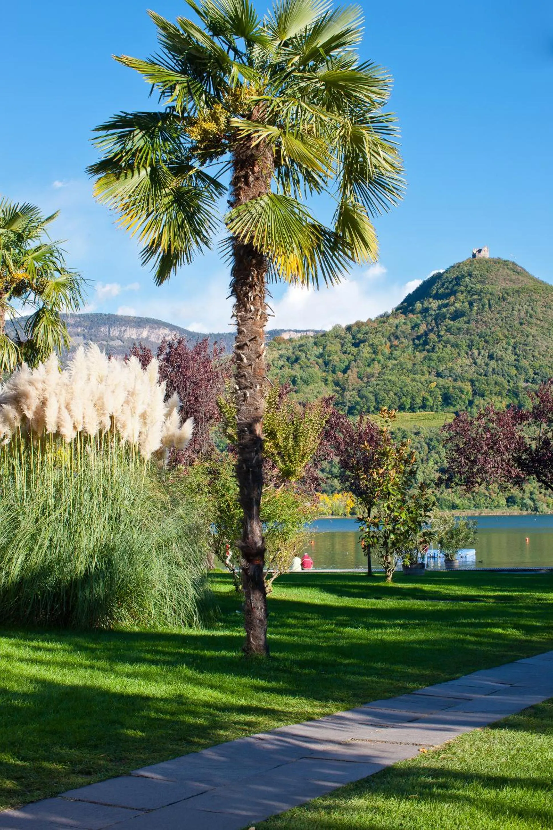 Natural landscape in Seegarten
