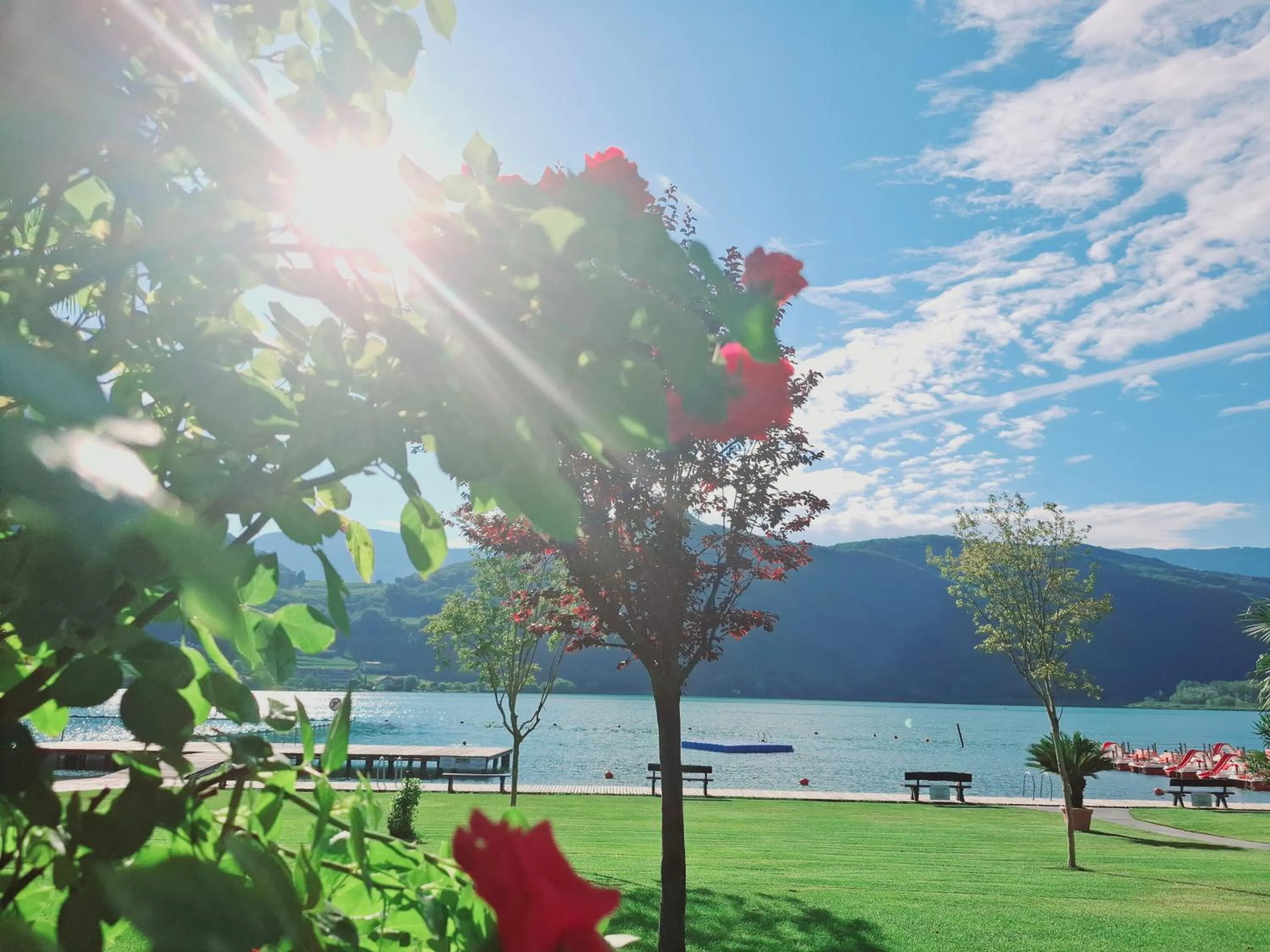 Property building in Seegarten