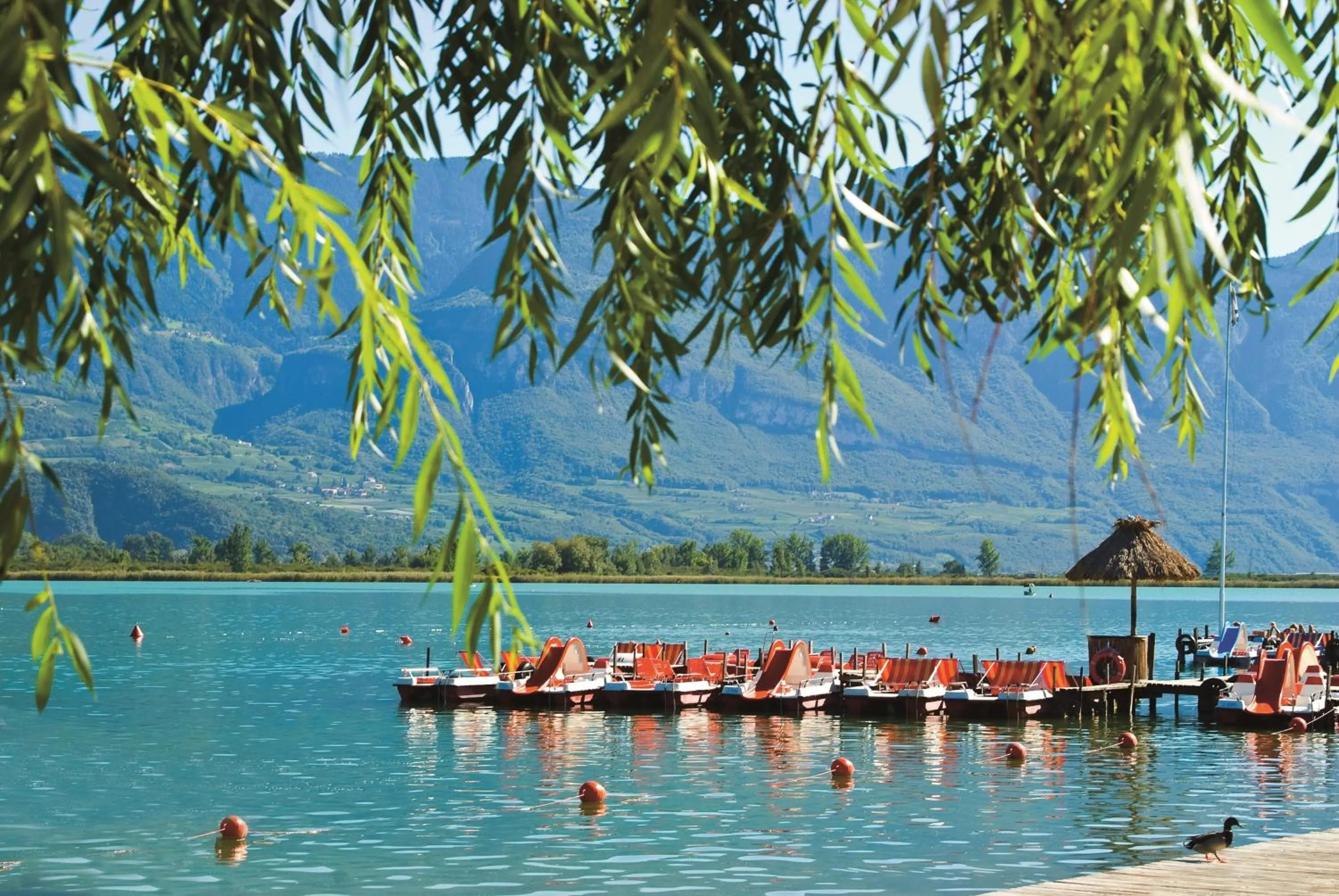 Activities in Seegarten