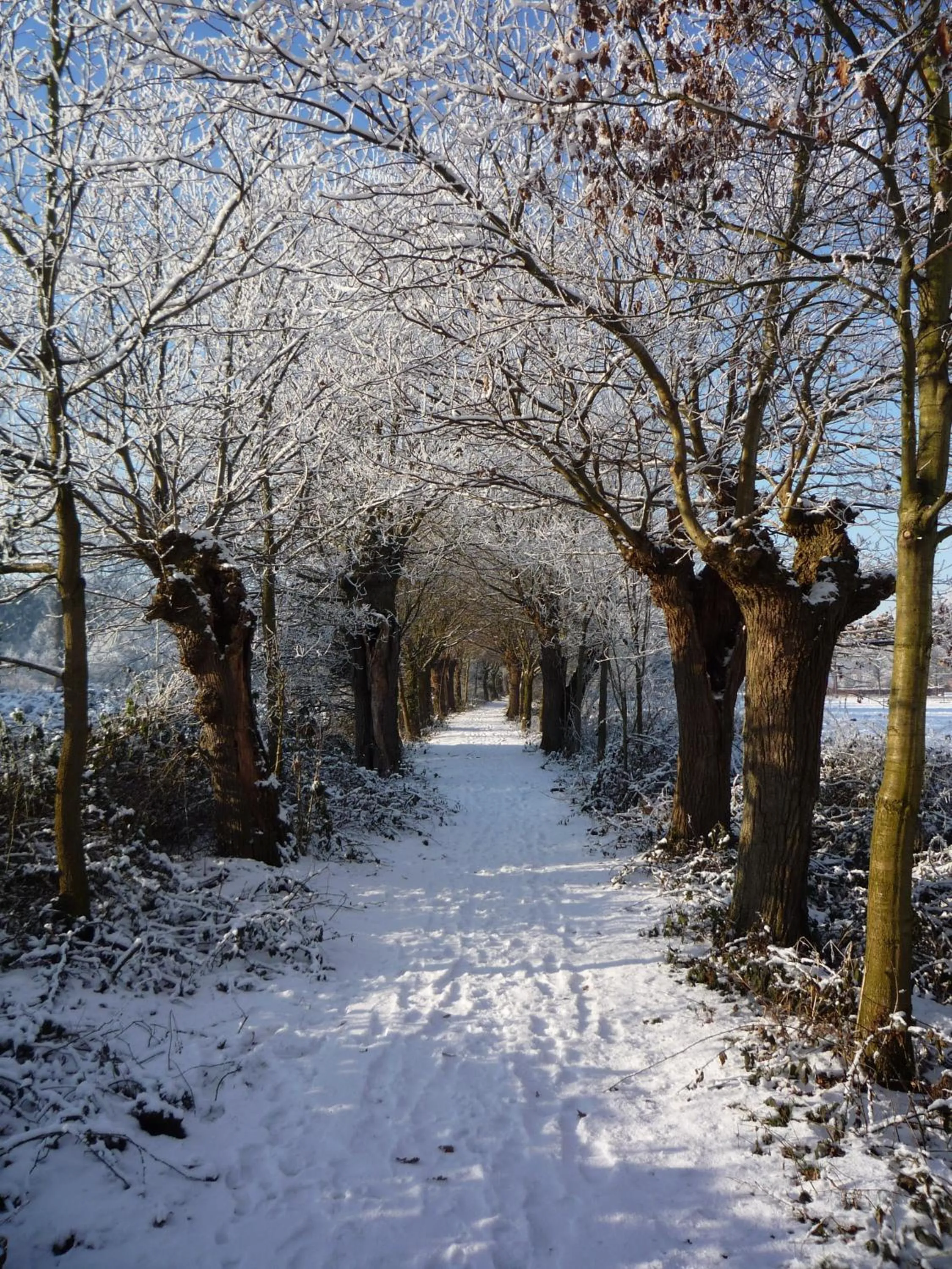 Hiking in Hotel Restaurant Kloppendiek