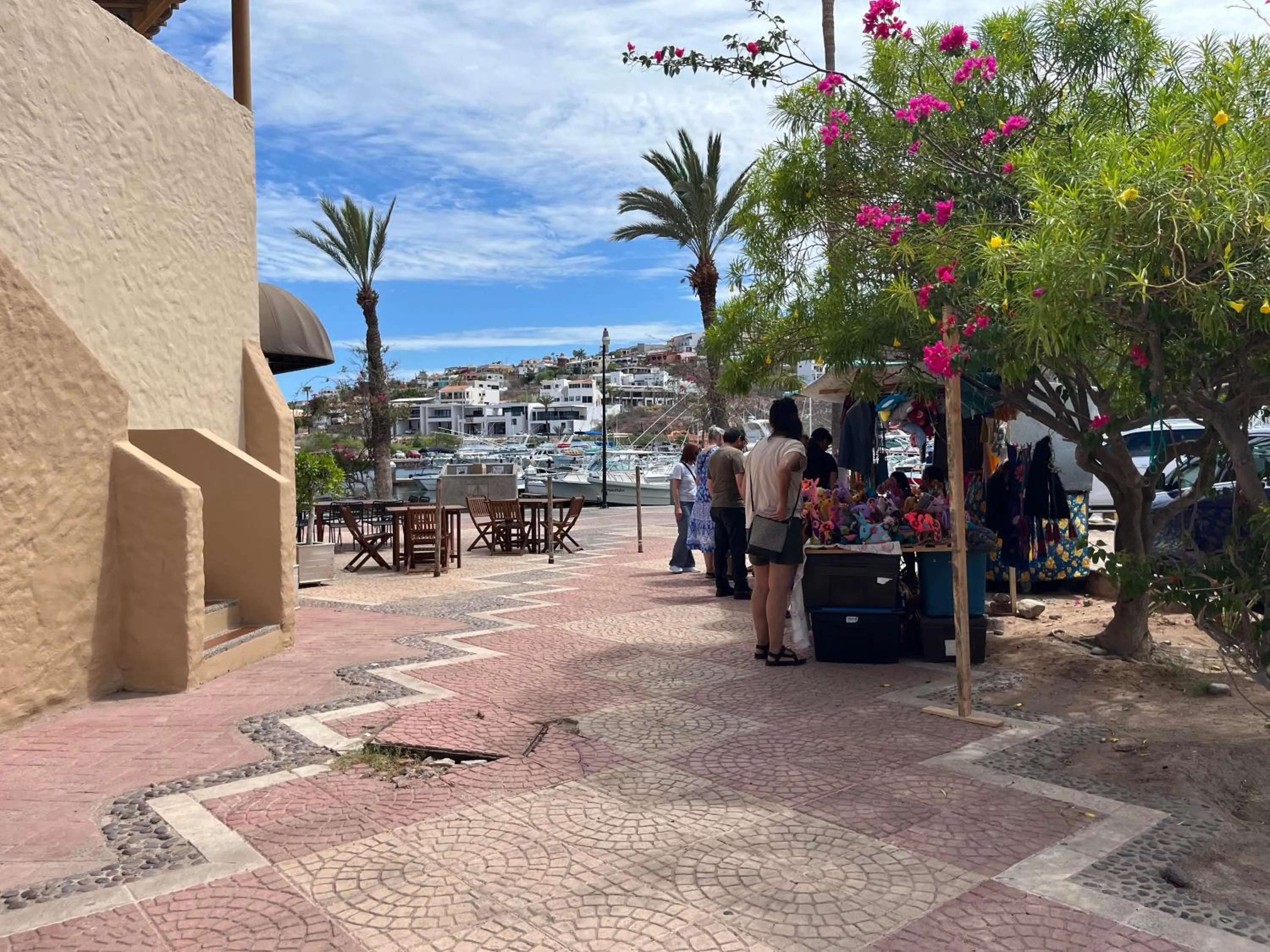 Natural landscape in Villa en Marinaterra en seguida de Marina San Carlos