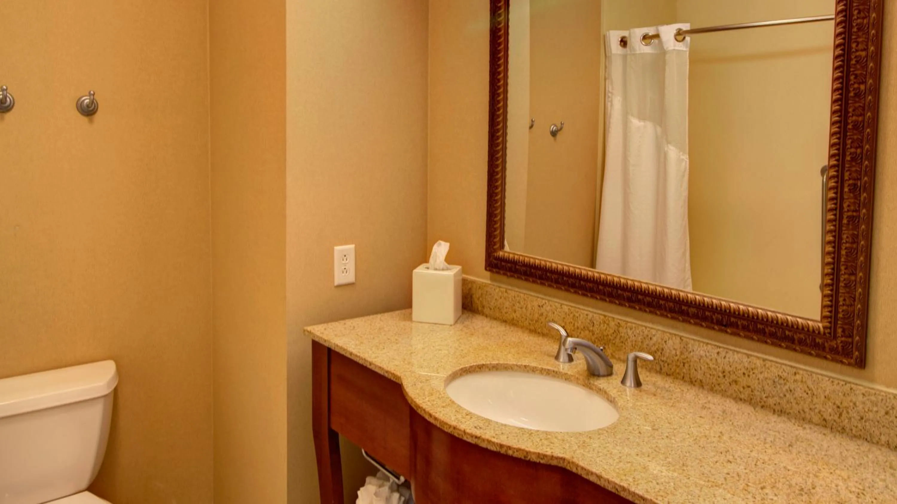 Bathroom in Holiday Inn Express & Suites Sioux City-South by IHG