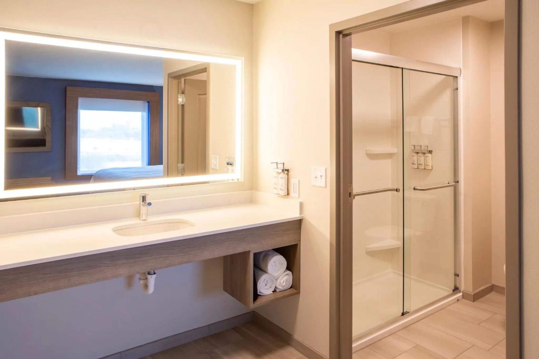 Bathroom in Holiday Inn Express & Suites Sioux City-South by IHG